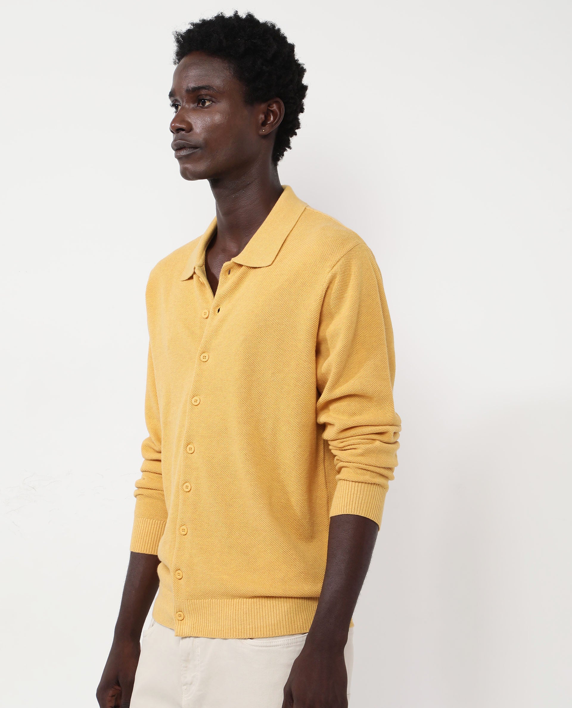 Rare Rabbit Men's Alias-N Dusky Yellow Cotton Fabric Full Sleeve Regular Collar Regular Fit Knitted Shirt