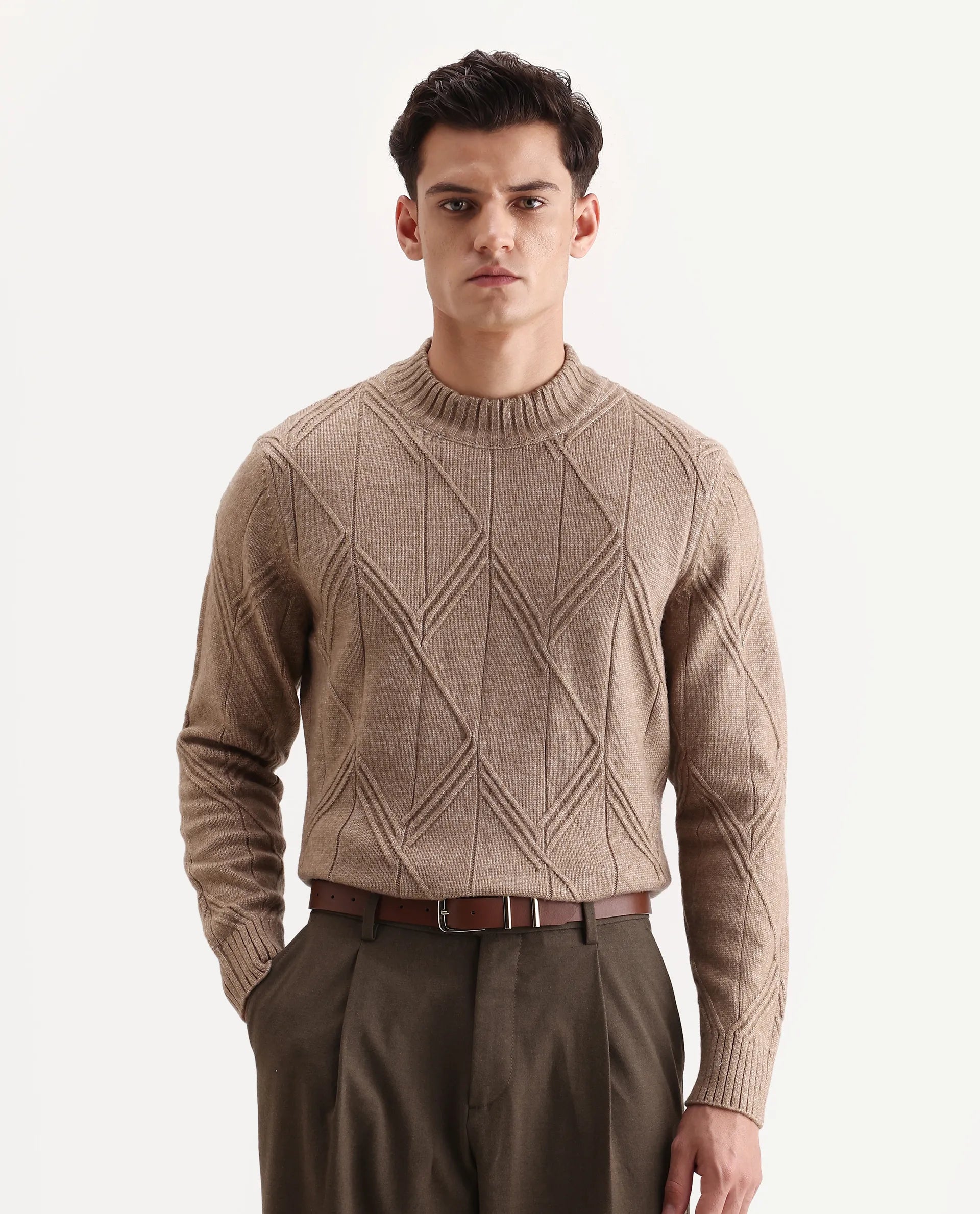 Rare Rabbit Men's Alli Dark Beige Polyester Plain Regular Fit Full Sleeve High Neck Sweater