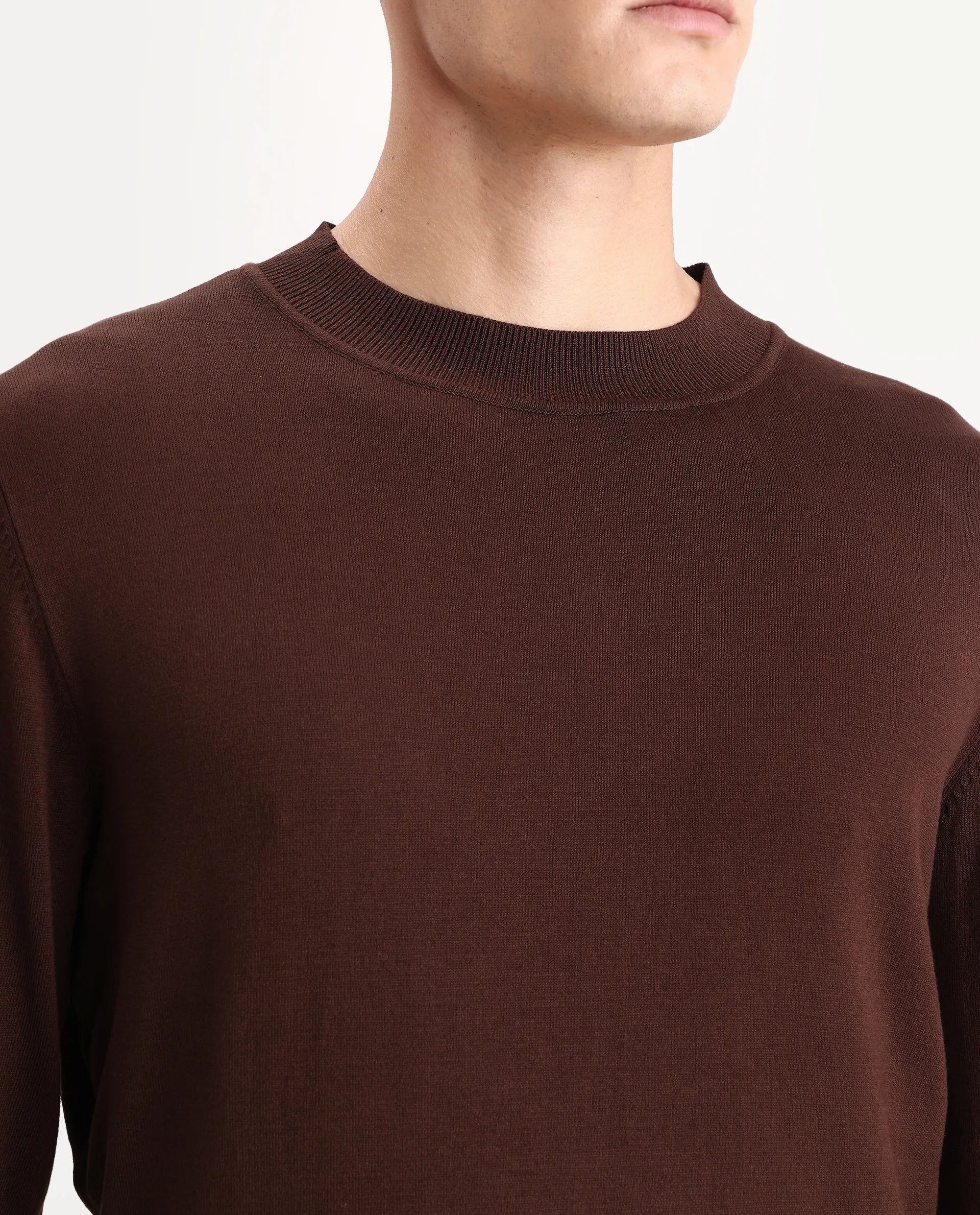 Rare Rabbit Men's Alva Dark Brown Viscose Plain Regular Fit Full Sleeve High Neck Sweater