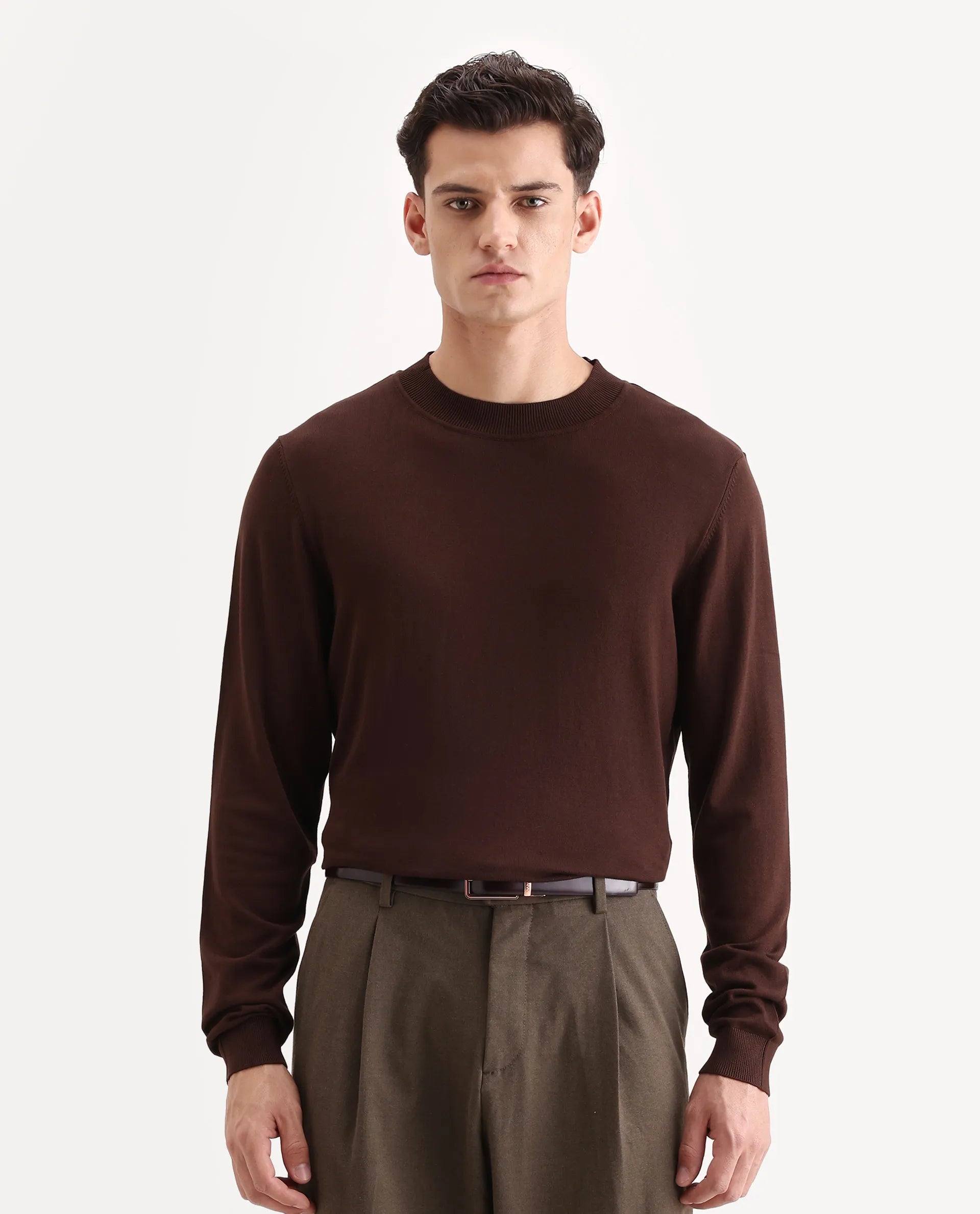 Rare Rabbit Men's Alva Dark Brown Viscose Plain Regular Fit Full Sleeve High Neck Sweater
