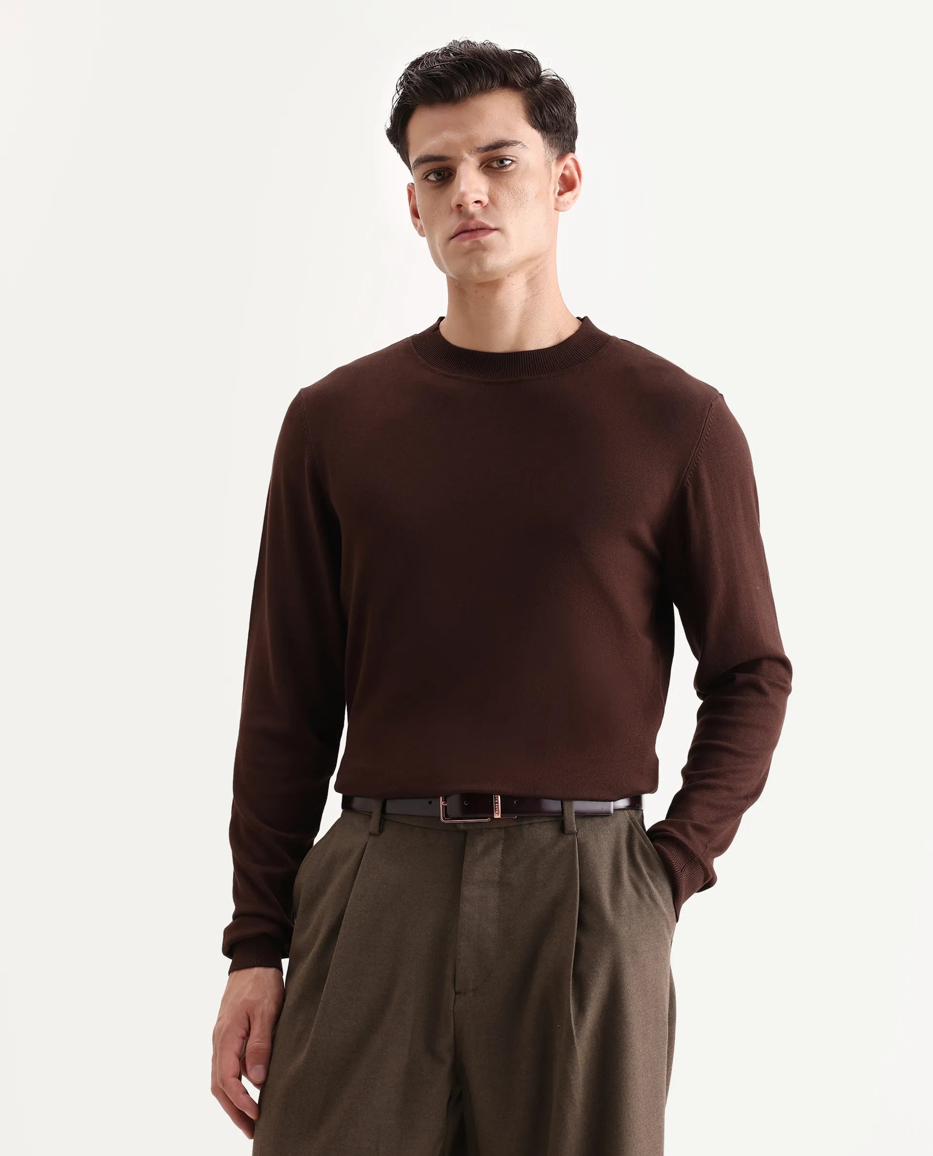Rare Rabbit Men's Alva Dark Brown Viscose Plain Regular Fit Full Sleeve High Neck Sweater