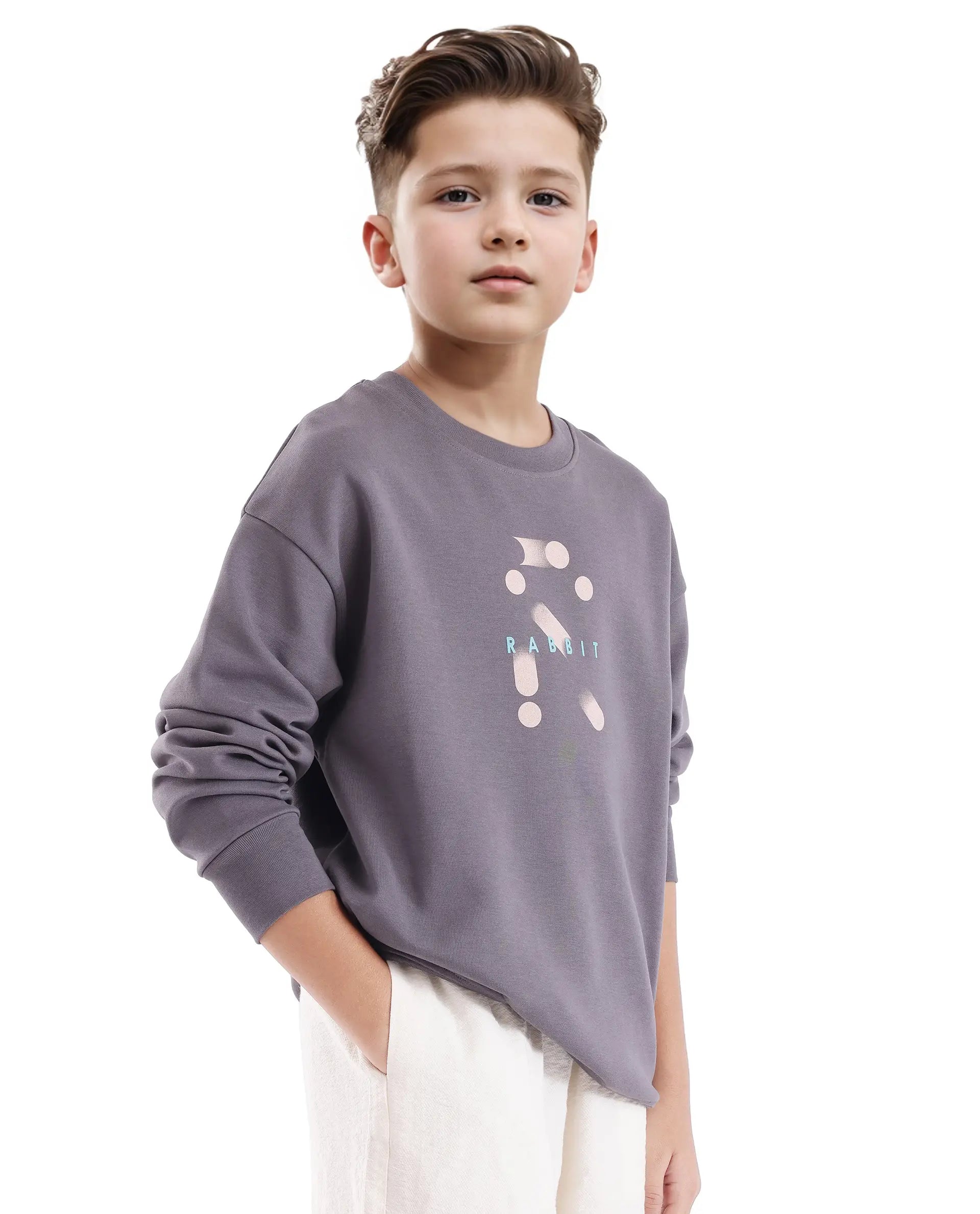 Rare Ones Kids Azen Dark Grey Cotton Poly Full Sleeve Discharge With Hd Sweatshirt