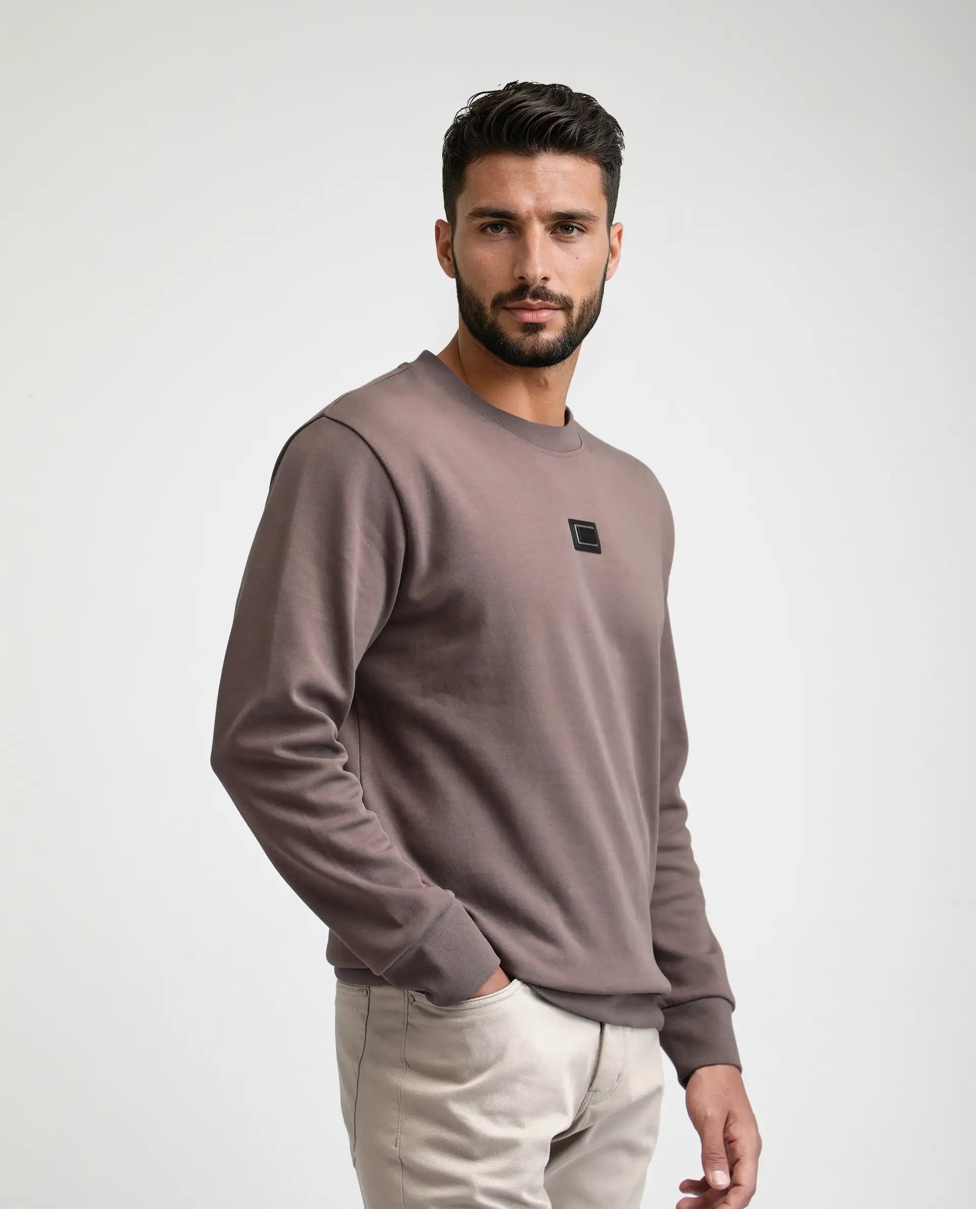 Rare Rabbit Men's Badget-25 Dusky Brown Cotton Blend Badge Print Regular Fit Full Sleeve Crew Neck Sweatshirt