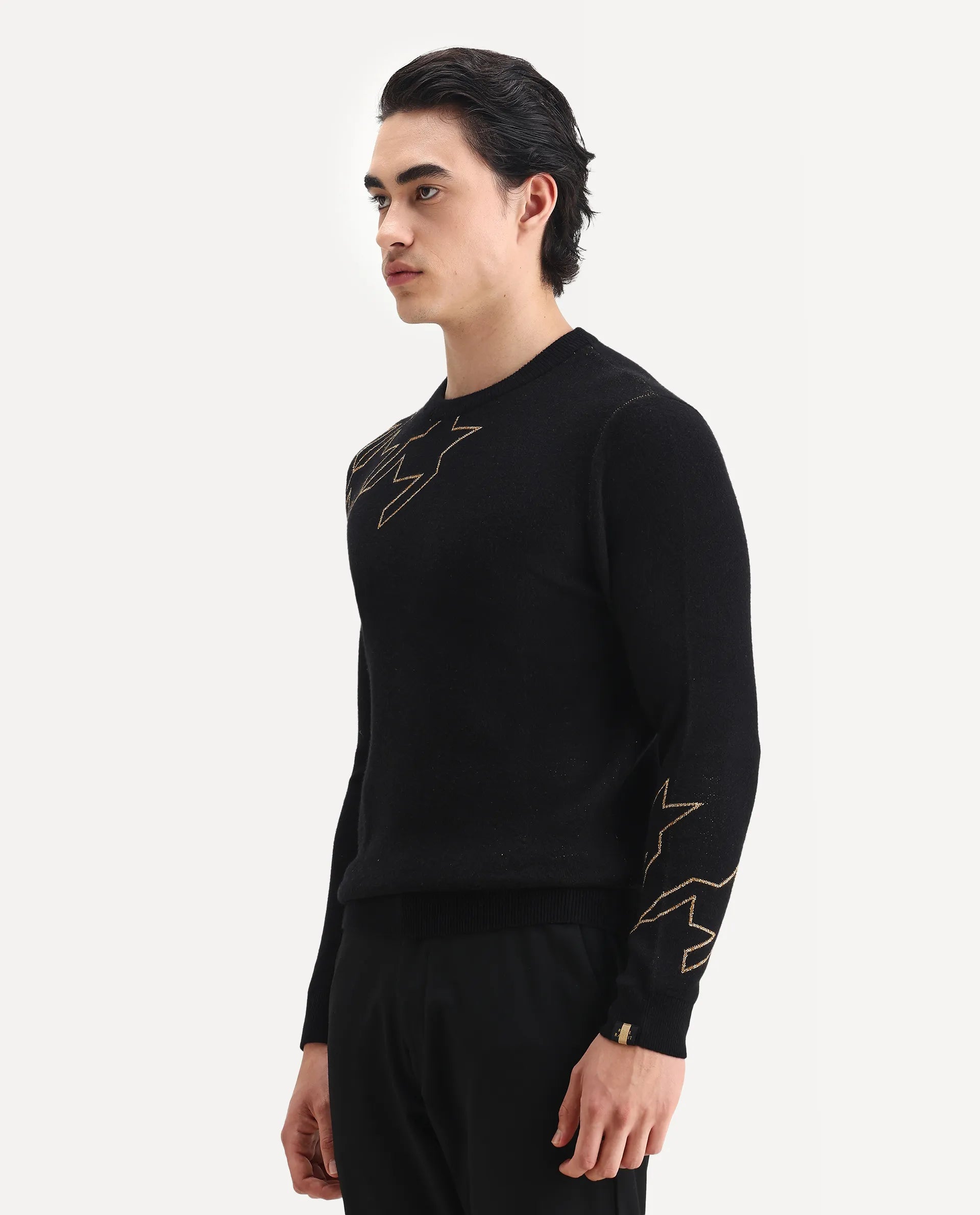 Rare Rabbit Men's Baset Black Polyester Jacquard Regular Fit Full Sleeve Crew Neck Sweater