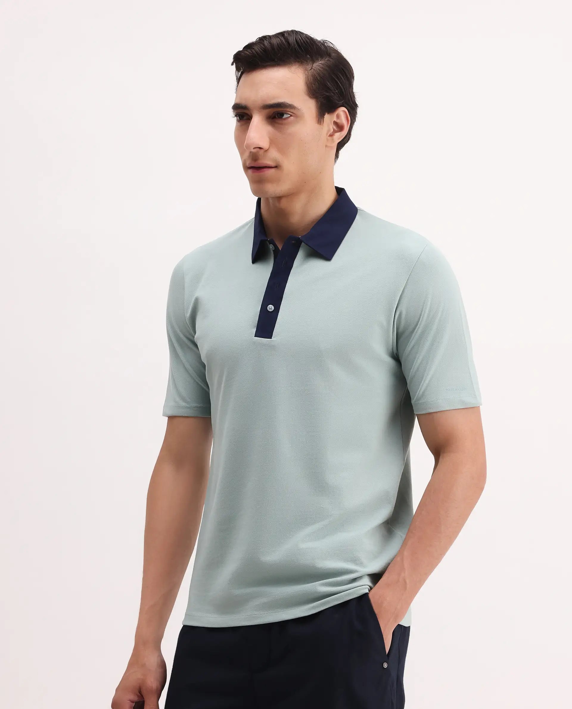 Rare Rabbit Men's Belton Pastel Green Cotton Blend Plain Regular Fit Half Sleeve Polo