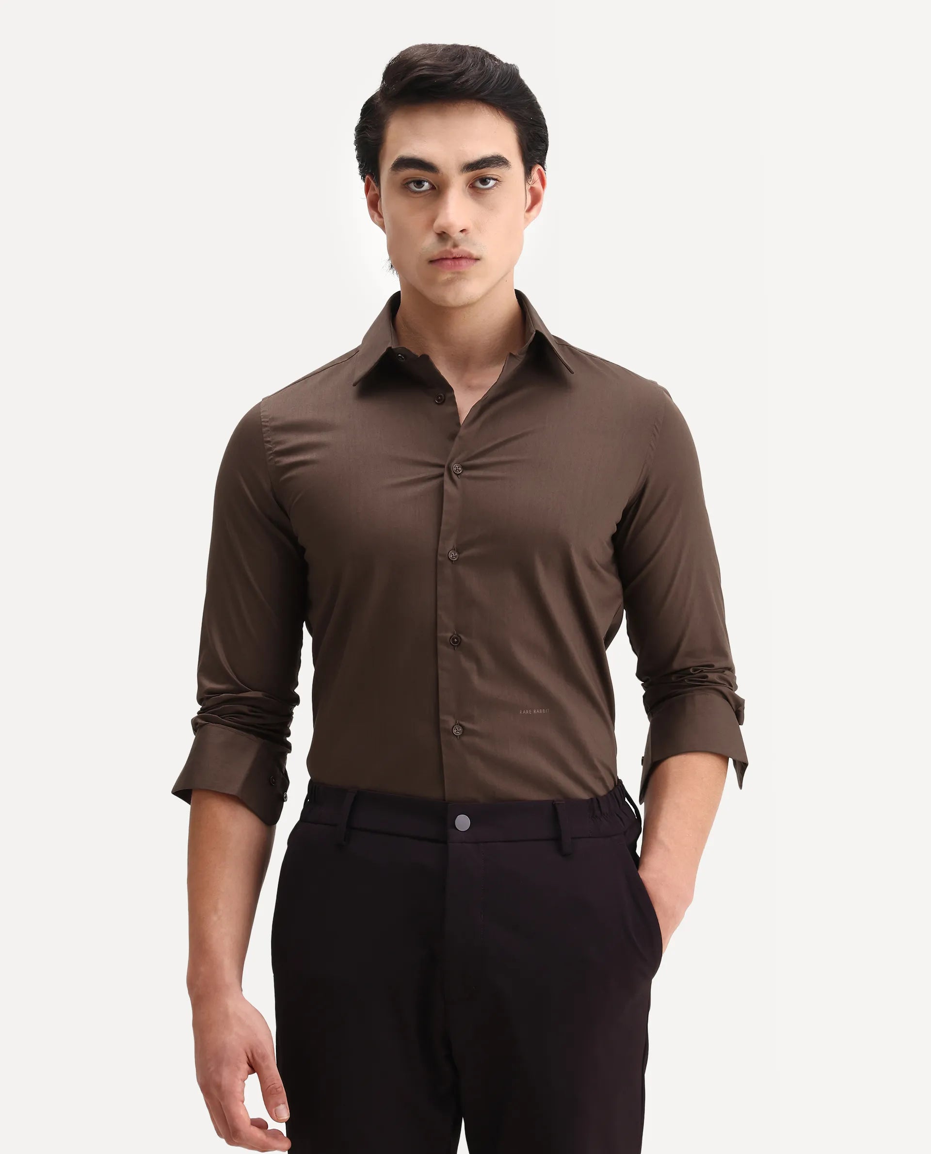 Rare Rabbit Men's Borium Ls-25 Brown 100% Linen Plain Regular Fit Full Sleeve Collared Shirt