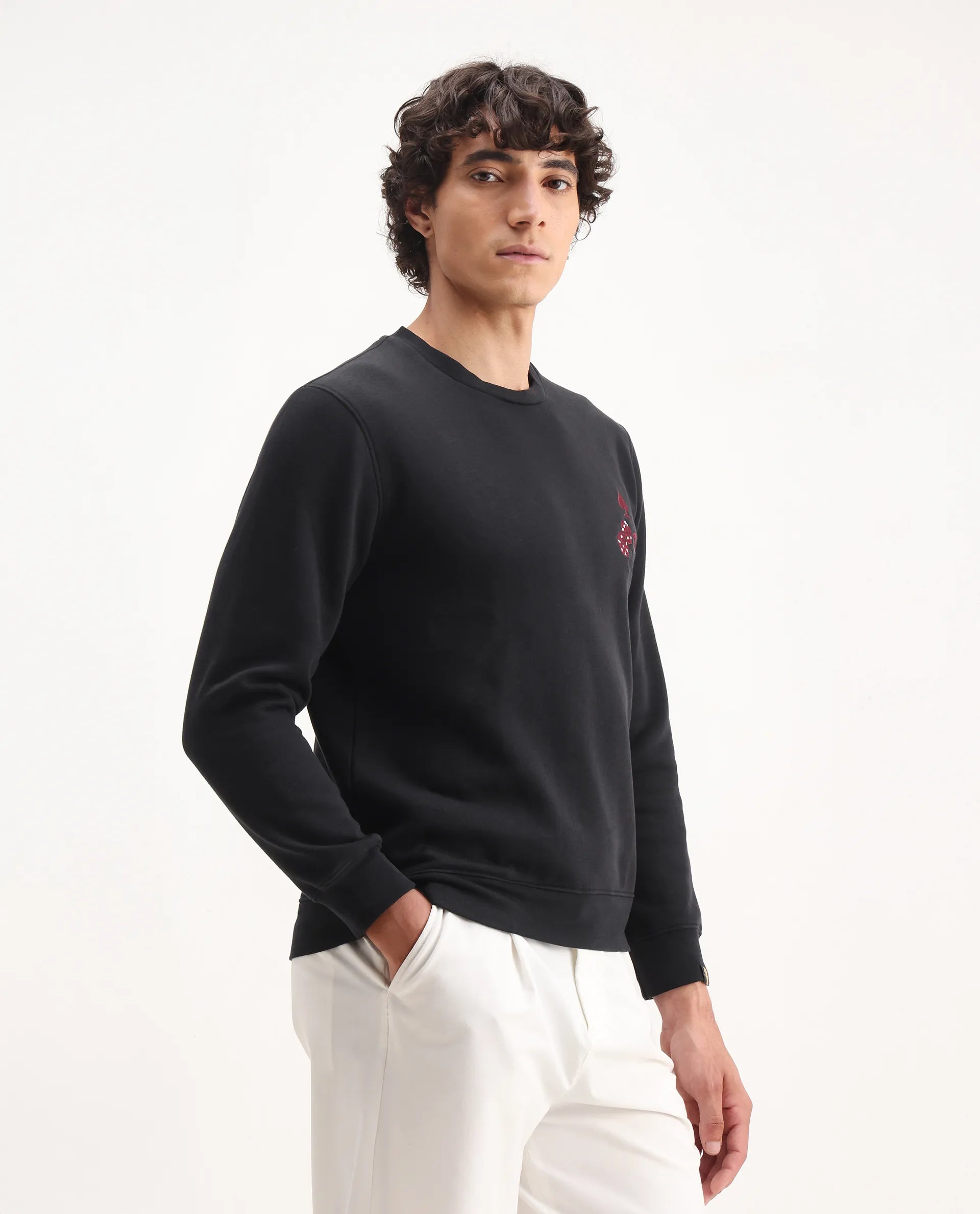 Rare Rabbit Men's Camisa Black Cotton Embroidered Regular Fit Full Sleeve Crew Neck Sweatshirt