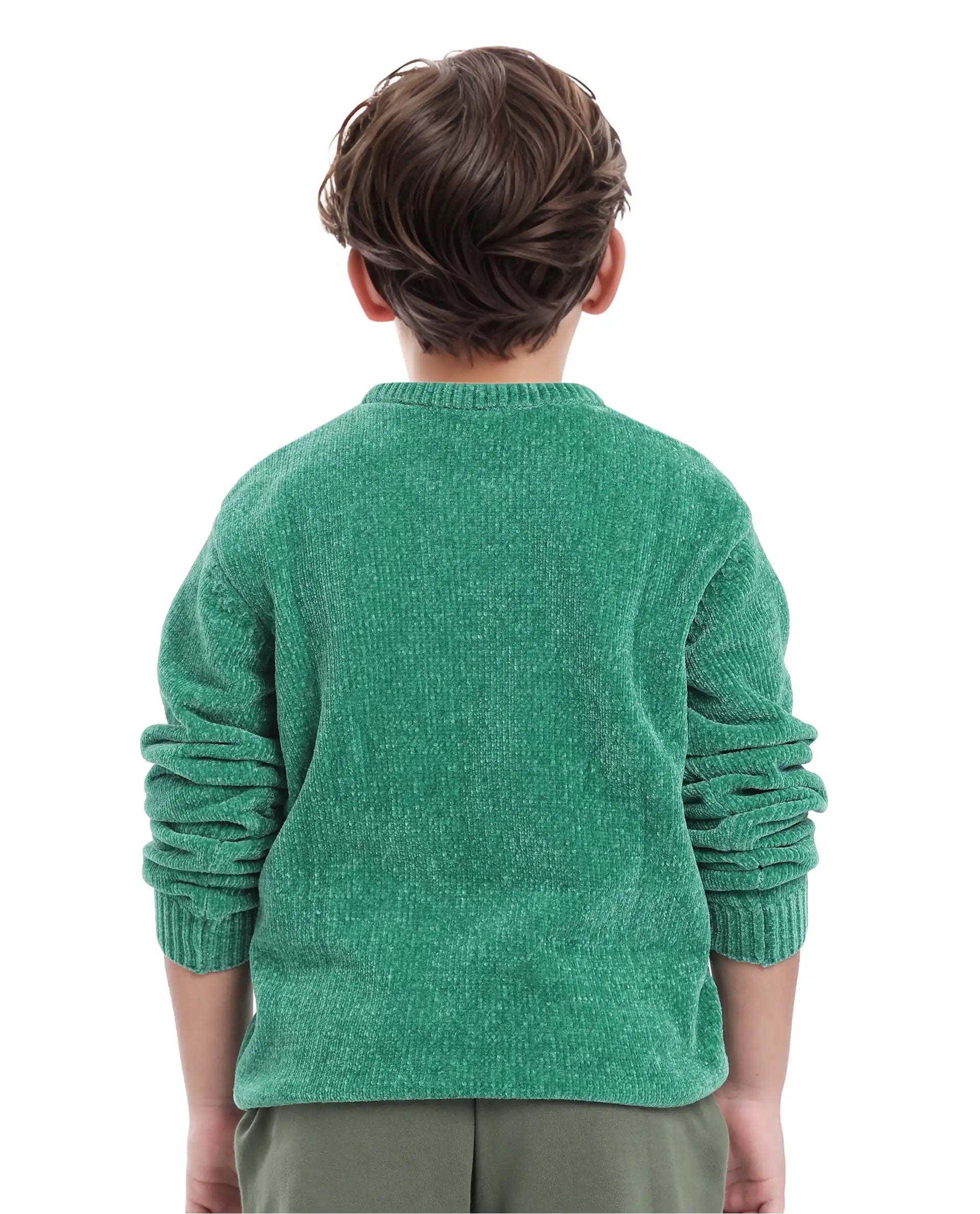 Rare Ones Kids Chenli Light Green Full Sleeve Solid Regular Fit Sweater