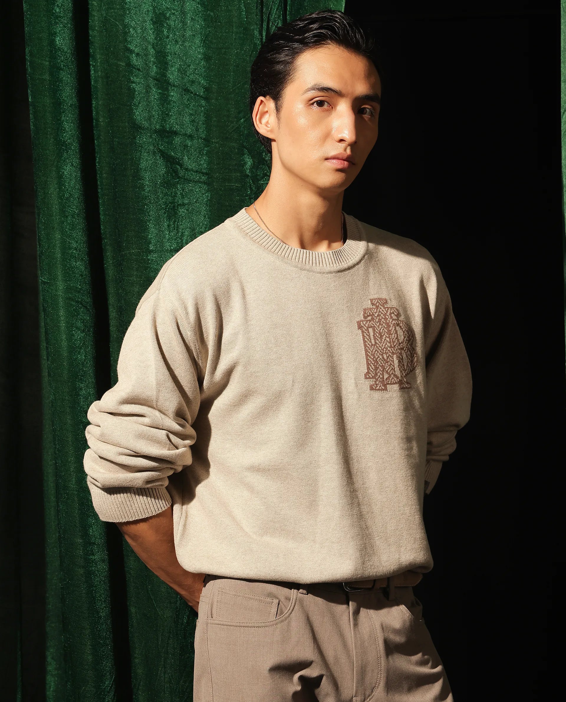 Rare Rabbit Men's Destin Beige Cotton Fabric Full Sleeve Crew Neck Jacquard Sweater