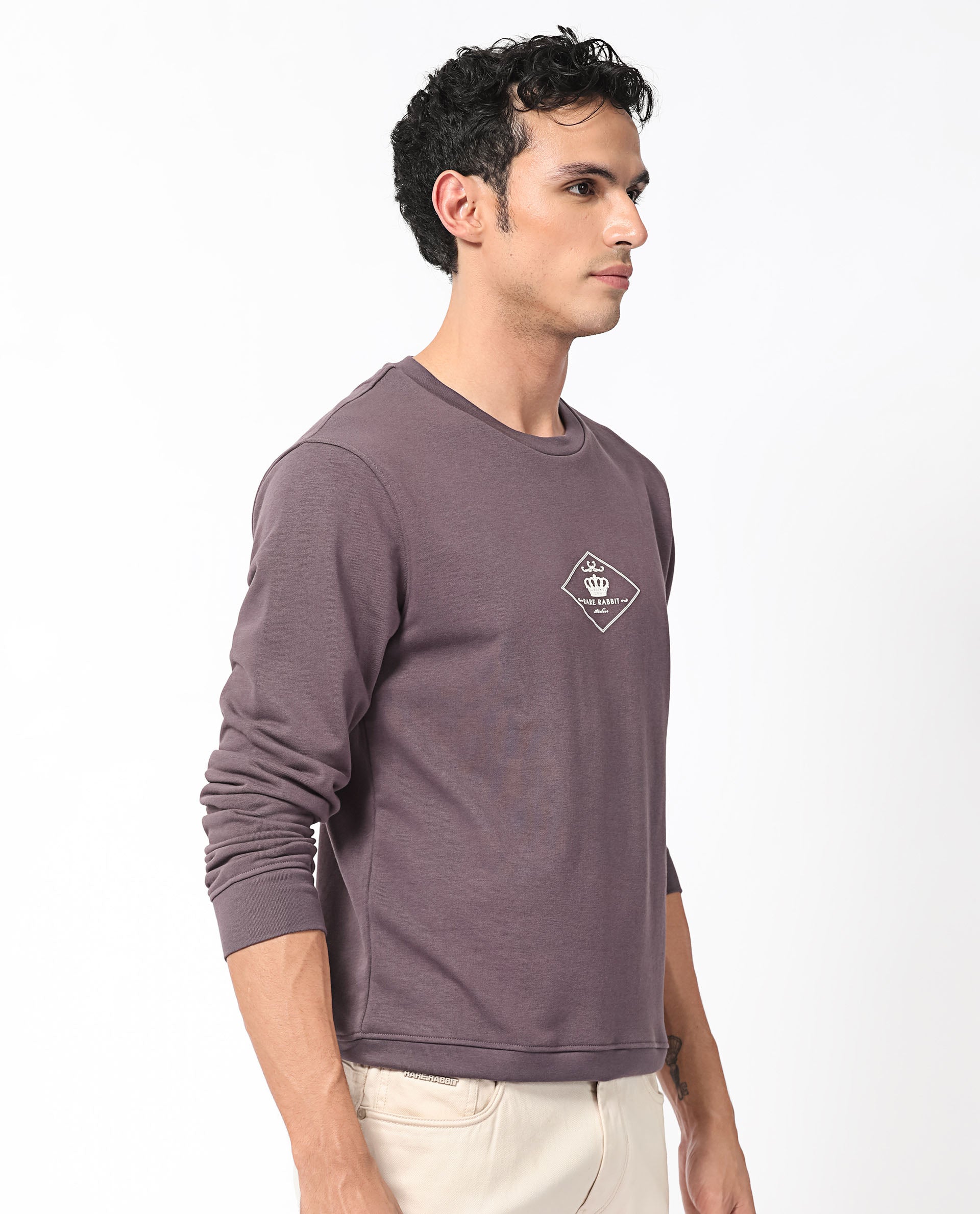 Rare Rabbit Men's Devonn Purple Cotton Polyester Fabric Full Sleeves Logo Graphic Print Knitted Sweatshirt
