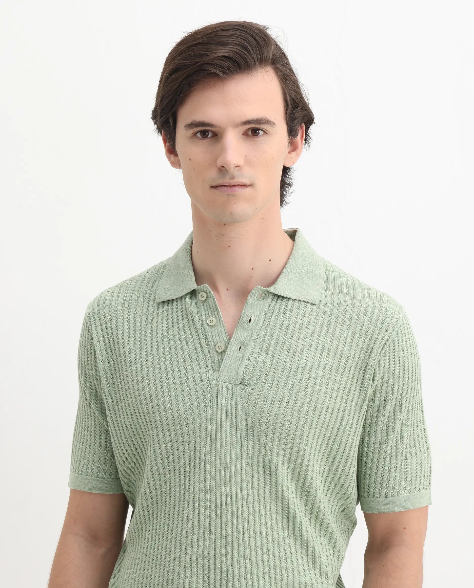 Rare Rabbit Men's Devr Light Green Tencel Textured Regular Fit Half Sleeve Polo