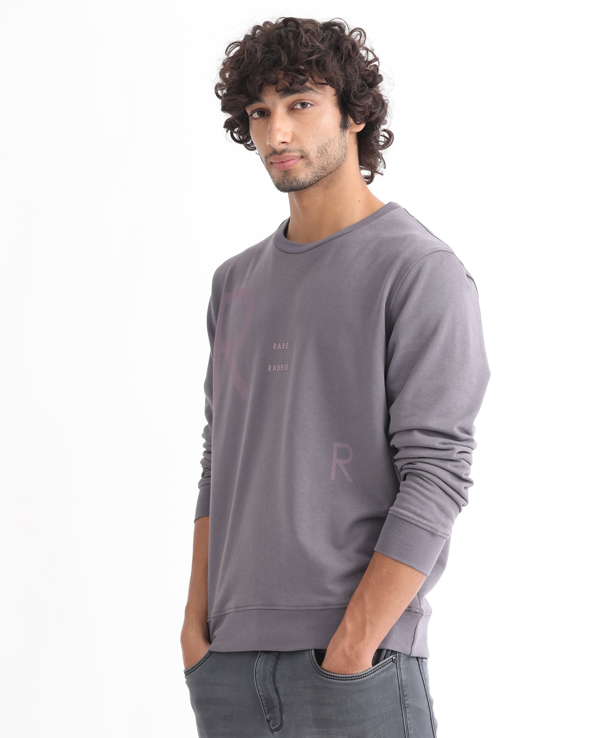 Rare Rabbit Men's Drovie Purple Cotton Polyester Fabric Full Sleeves Logo Graphic Print Knitted Sweatshirt