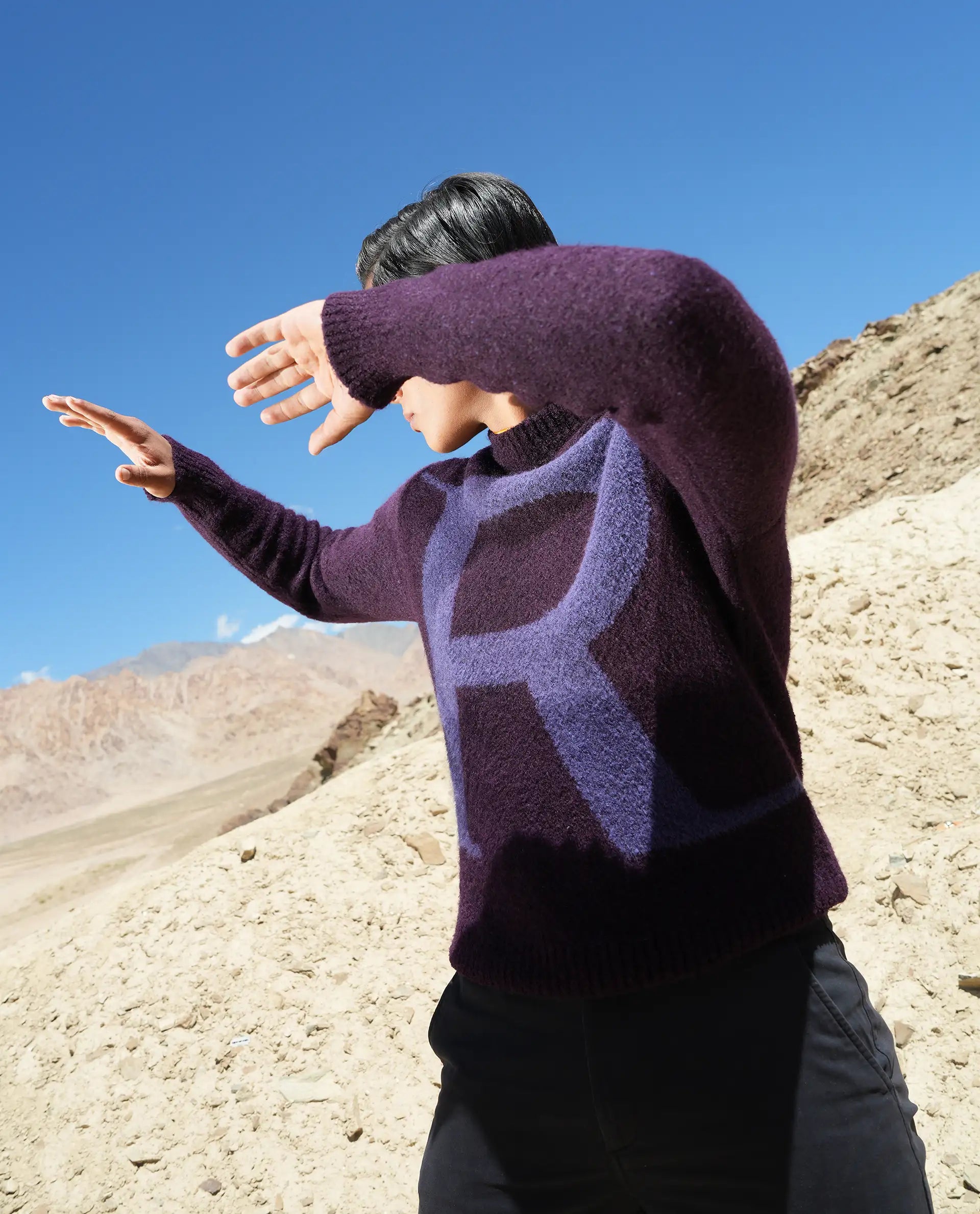 Rare Rabbit Men's Lang Purple Nylon Printed Regular Fit Full Sleeve Crew Neck Sweater