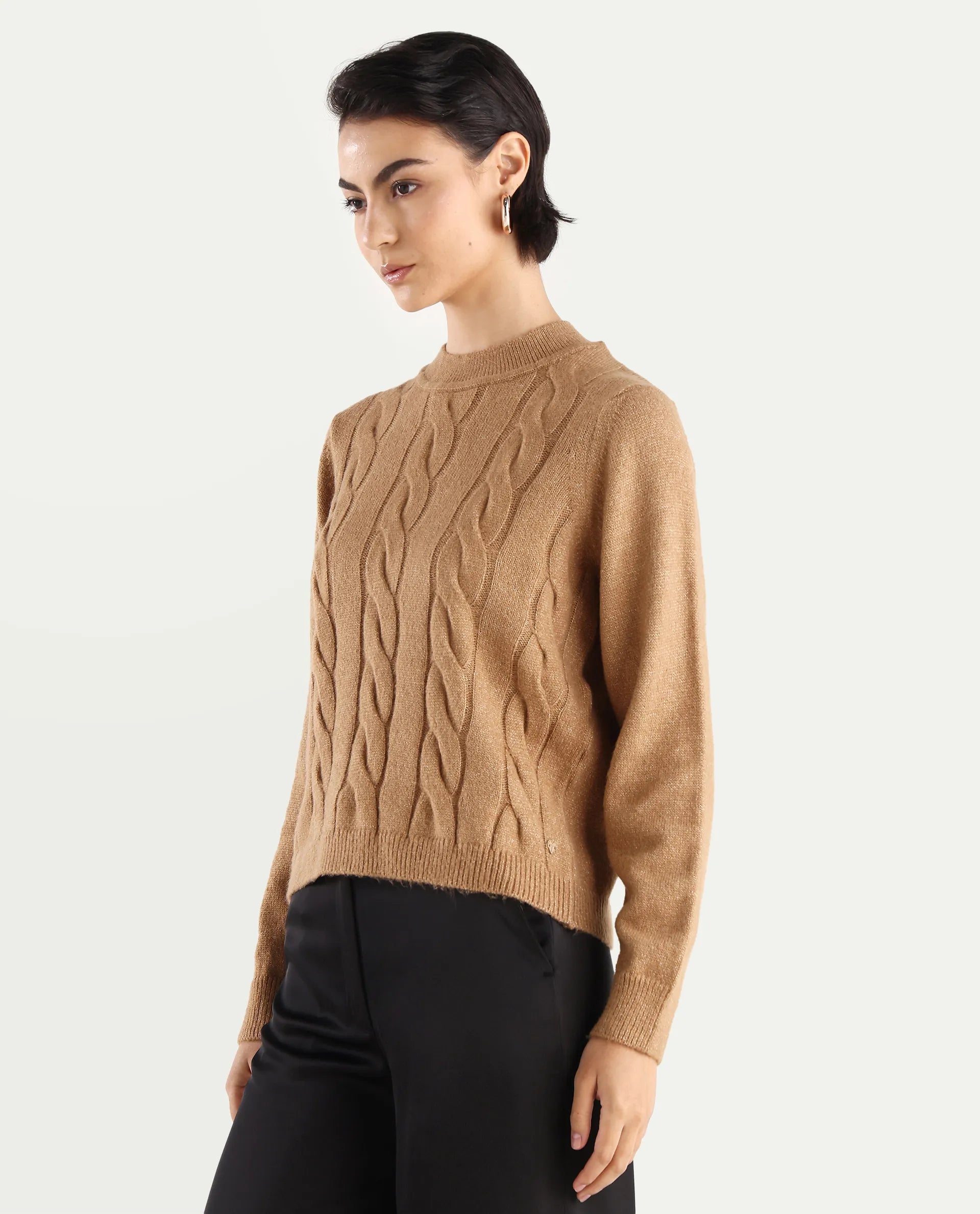 Rareism Women's Emm Camel Acrylic Crew Neck Plain Regular Fit Sweater