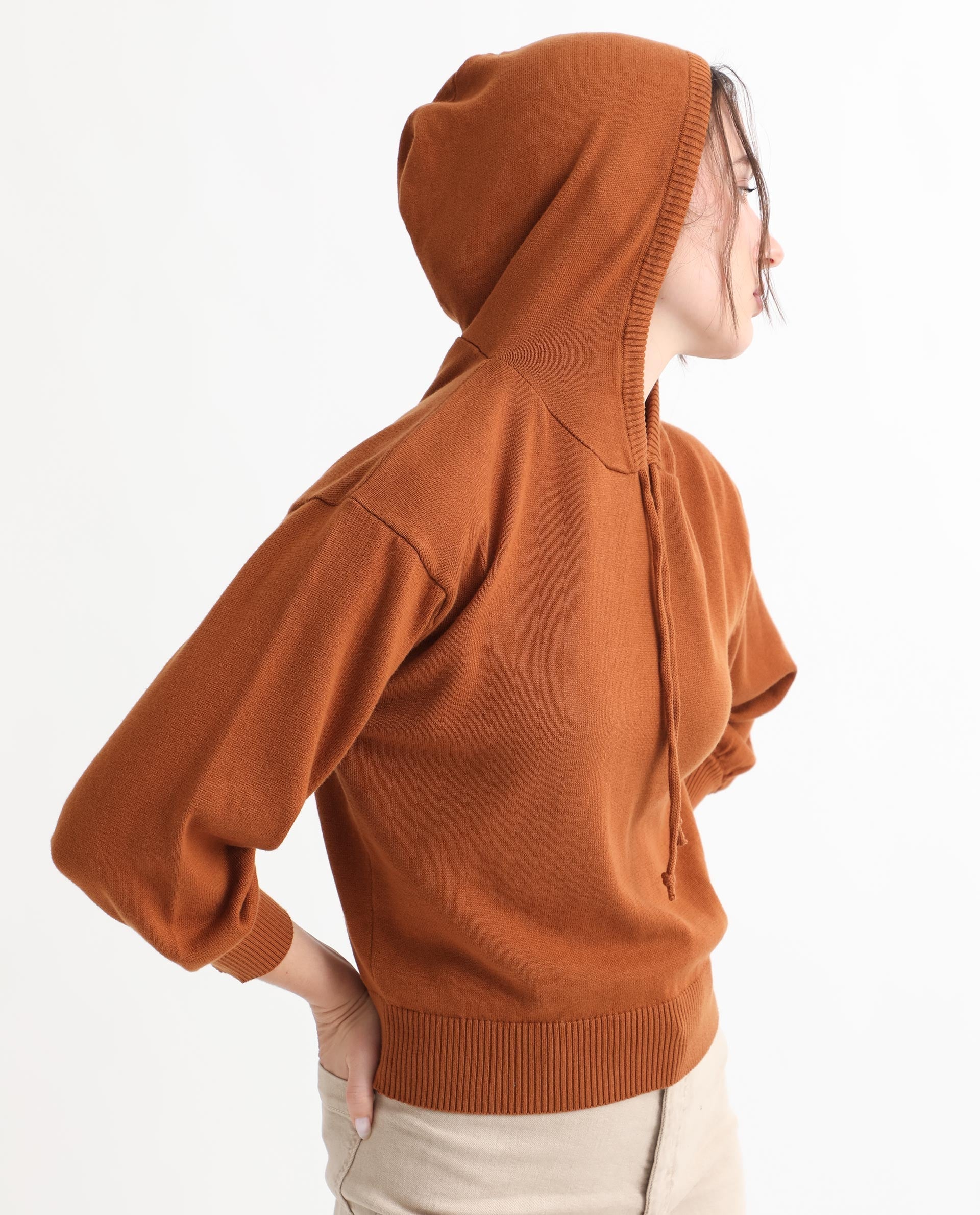 Rareism Women Finn Sweat Rust Cotton Fabric Full Sleeves Relaxed Fit Solid Hooded Sweater