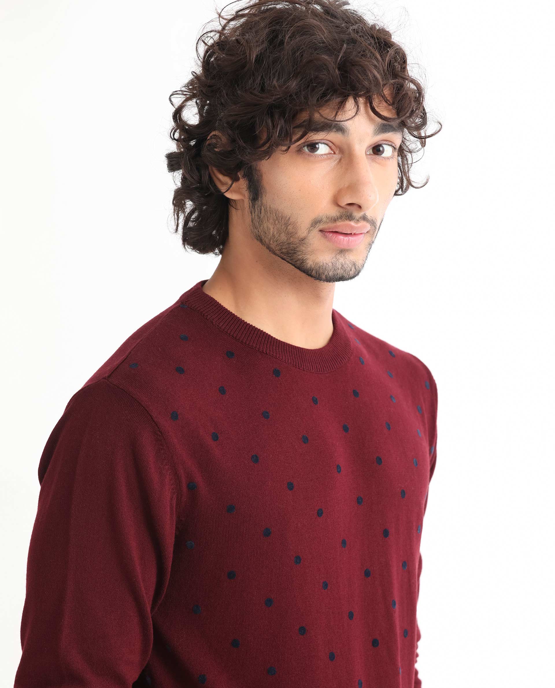 Rare Rabbit Mens Flock Dark Maroon Viscose Nylon Fabric Crew Neck Full Sleeves Flock Printed Polka Dot Sweater