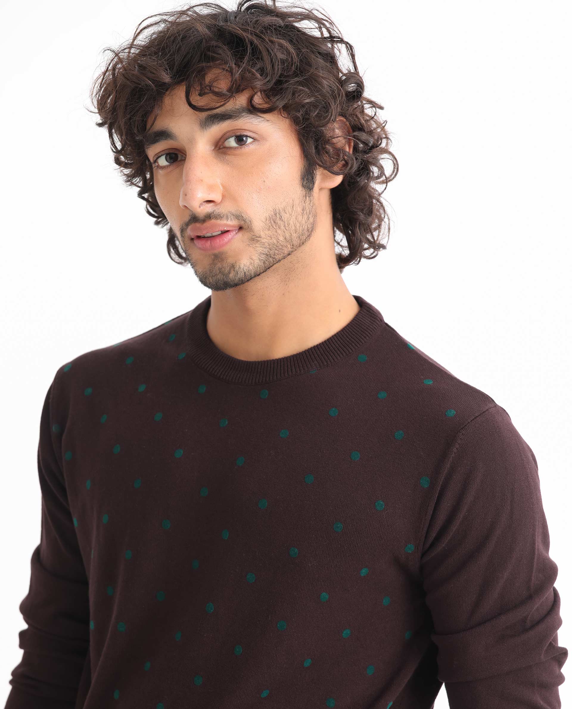 Rare Rabbit Mens Flock Maroon Viscose Nylon Fabric Crew Neck Full Sleeves Flock Printed Polka Dot Sweater