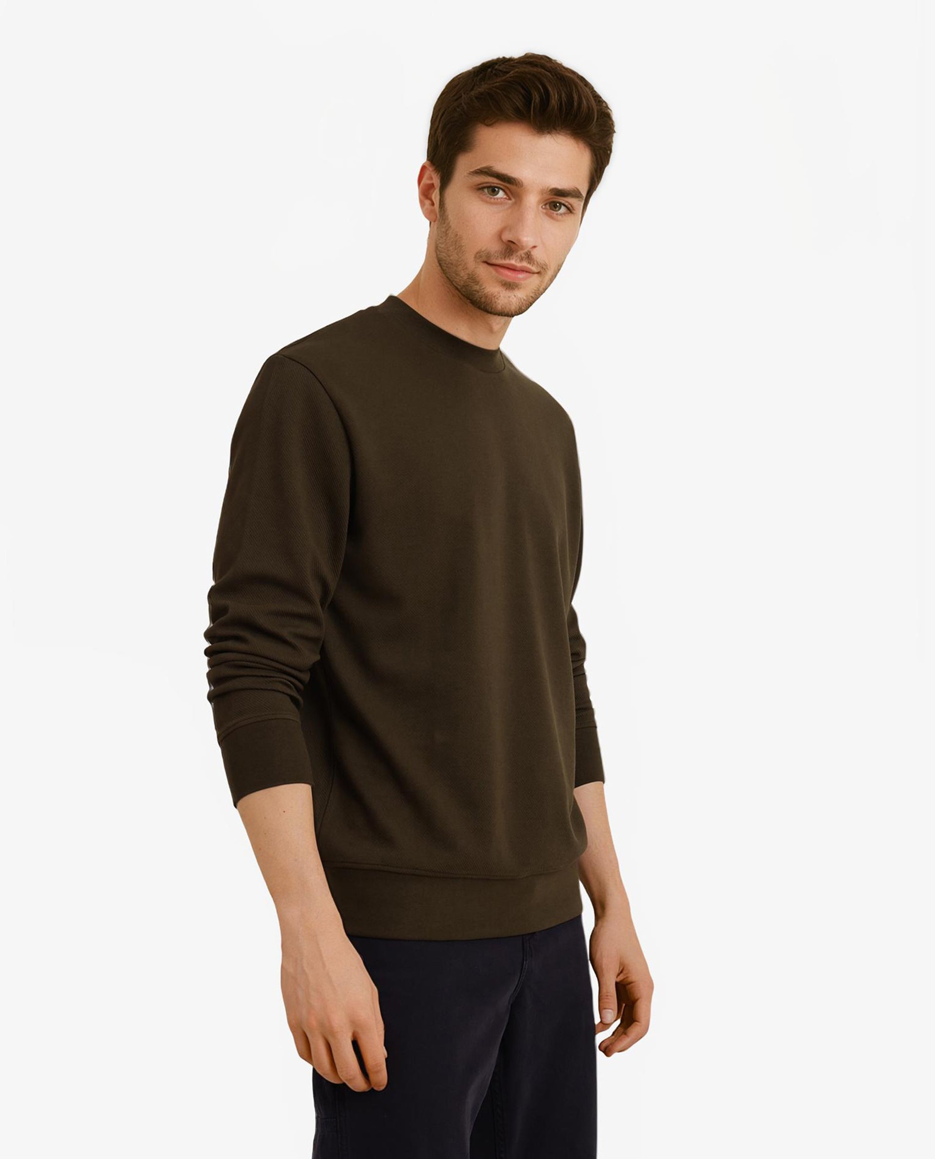 Rare Rabbit Men Foy Olive Cotton Fabric Full Sleeve Crew Neck Regular Fit Cavalry Twill Plain Sweatshirt