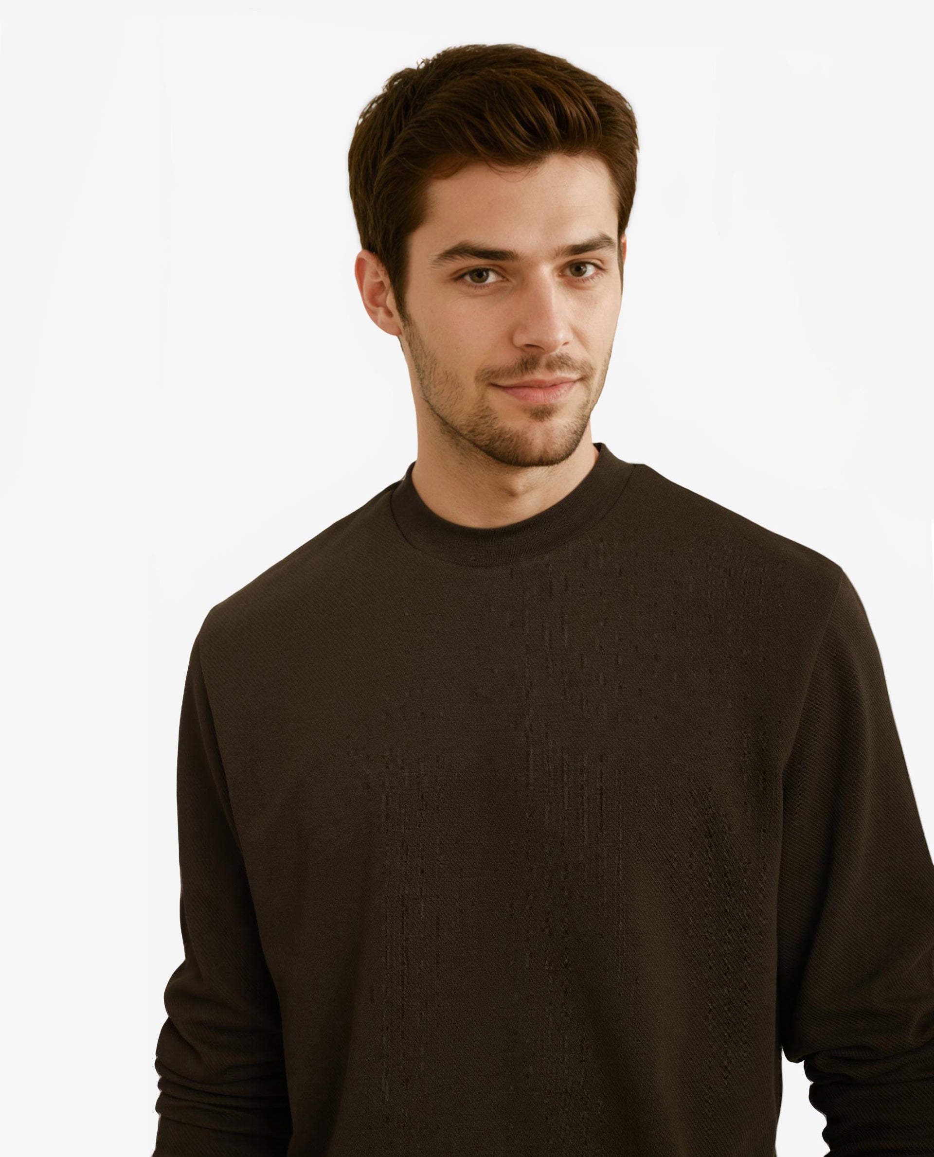 Rare Rabbit Men Foy Olive Cotton Fabric Full Sleeve Crew Neck Regular Fit Cavalry Twill Plain Sweatshirt