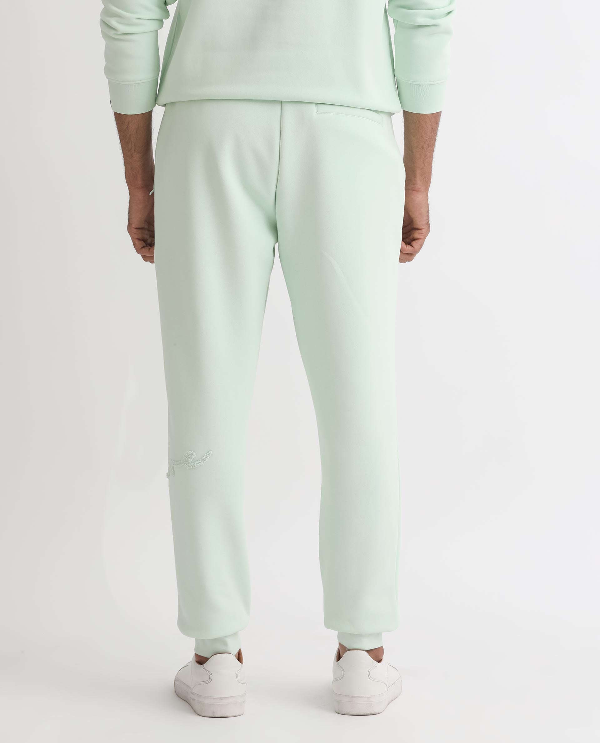 Rare Rabbit Mens Glame Light Green Cotton Polyester Fabric Drawstring Closure Regular Fit Mid Rise Trackpant