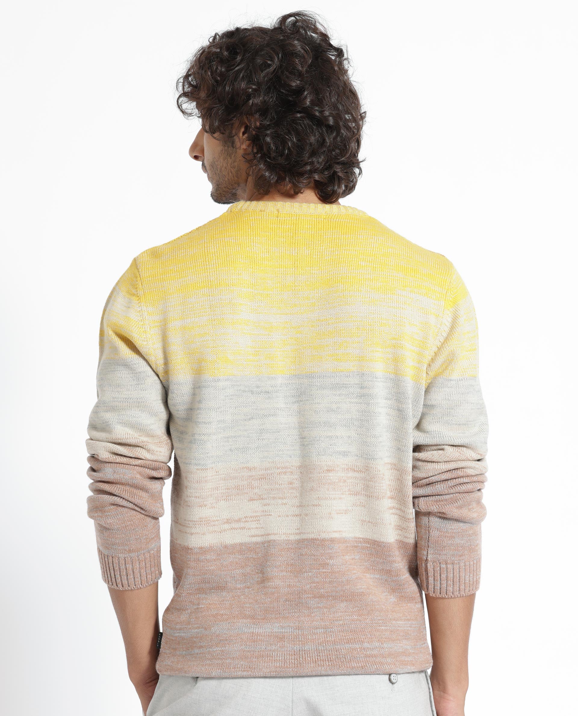 Rare Rabbit Mens Grindle Mustard Acrylic Fabric Crew Neck Full Sleeve Multicolored Textured Knitted Sweater