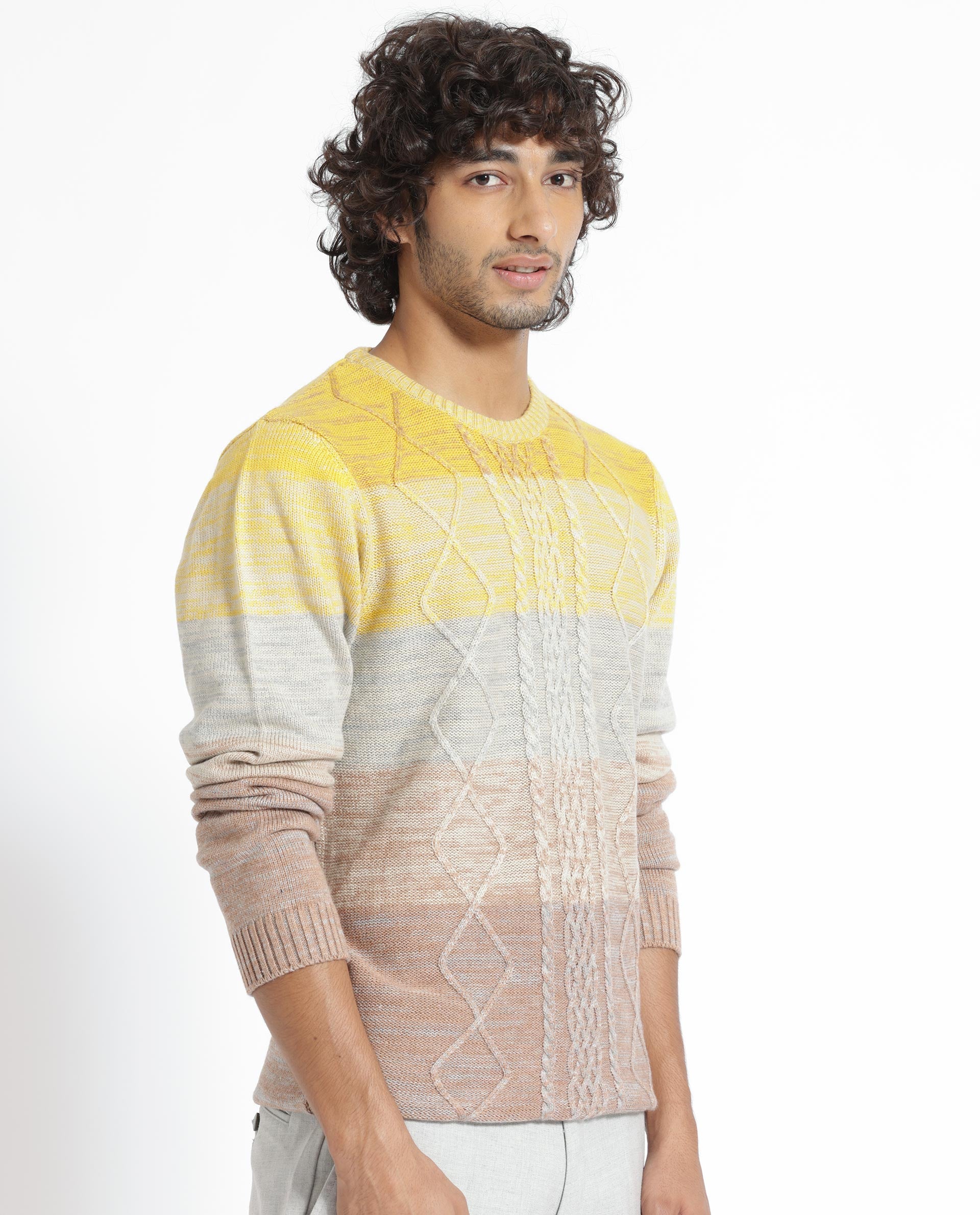 Rare Rabbit Mens Grindle Mustard Acrylic Fabric Crew Neck Full Sleeve Multicolored Textured Knitted Sweater