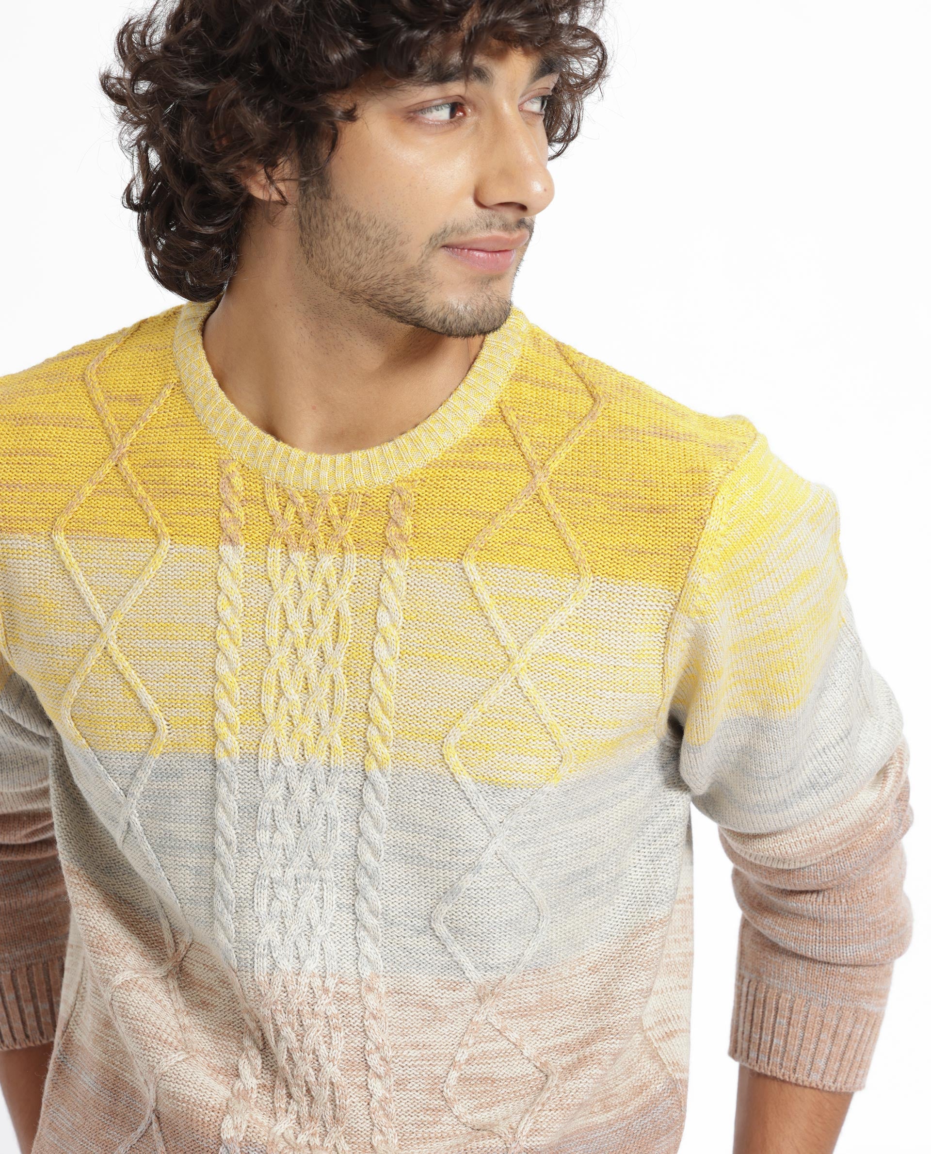 Rare Rabbit Mens Grindle Mustard Acrylic Fabric Crew Neck Full Sleeve Multicolored Textured Knitted Sweater