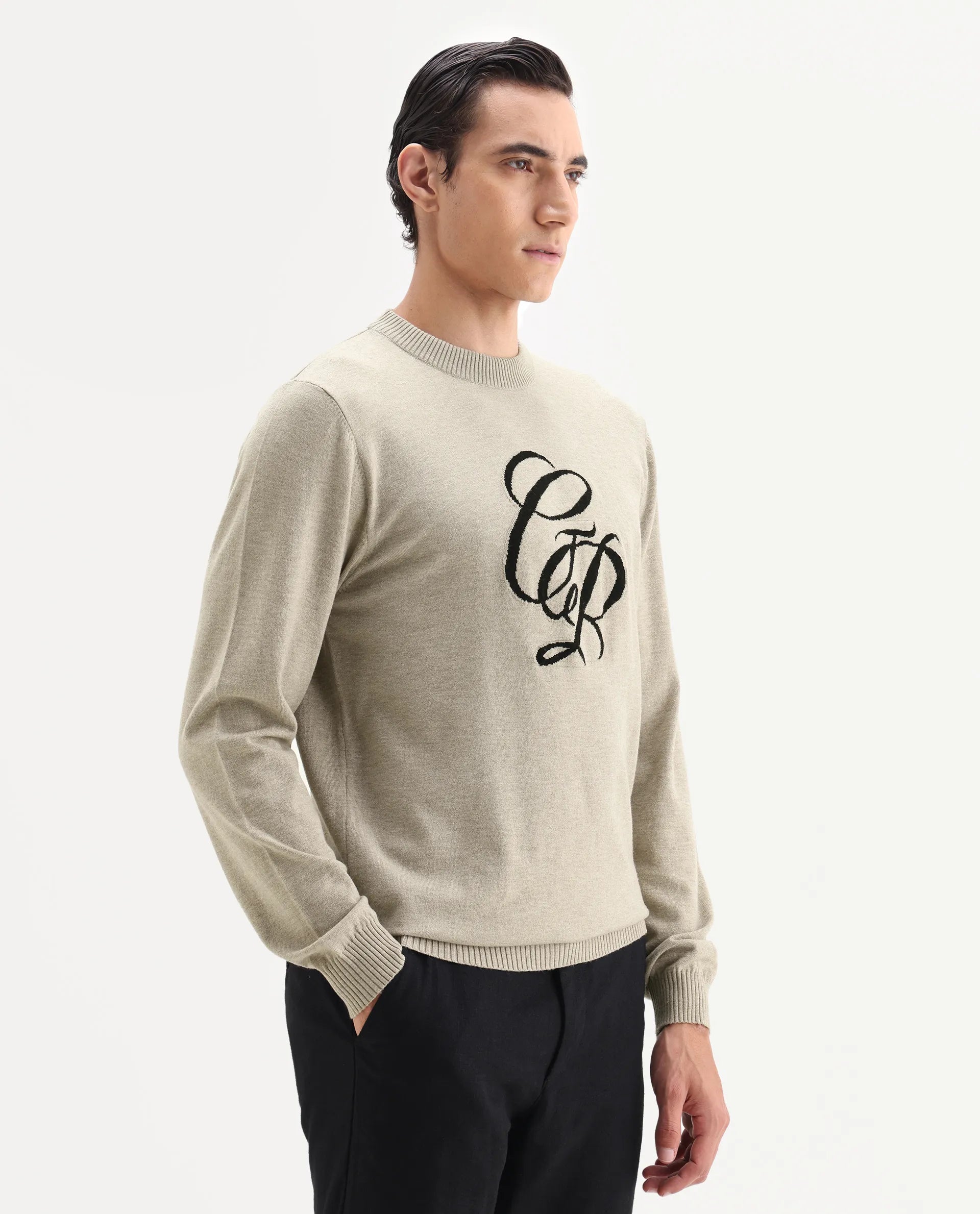Rare Rabbit Men's Gron Beige Polyester Blend Fabric Full Sleeve Crew Neck Textured Sweater