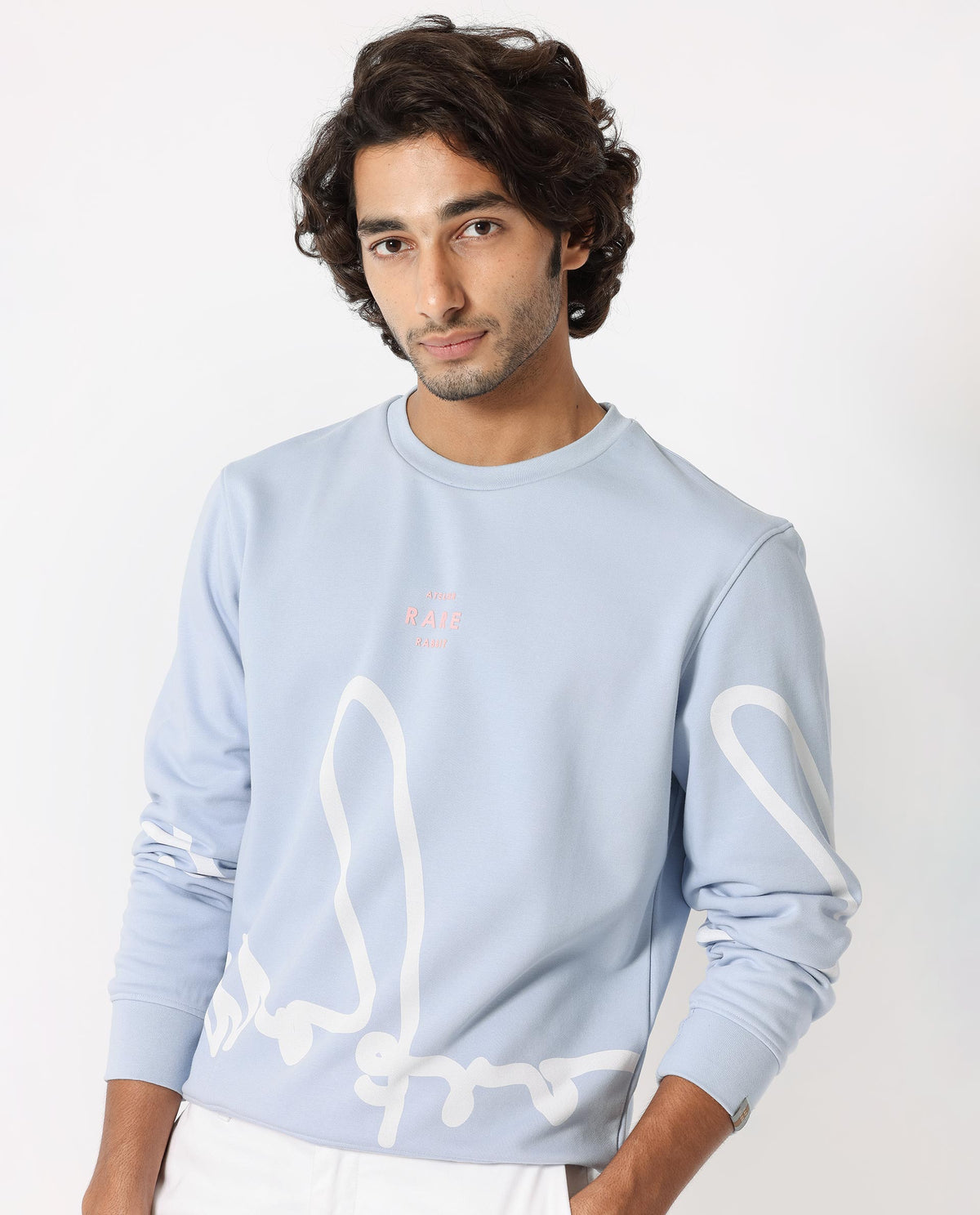 Rare Rabbit Mens Halsey Light Blue Cotton Polyester Terry Fabric Round Neck Knitted Full Sleeves Comfortable Fit Sweatshirt