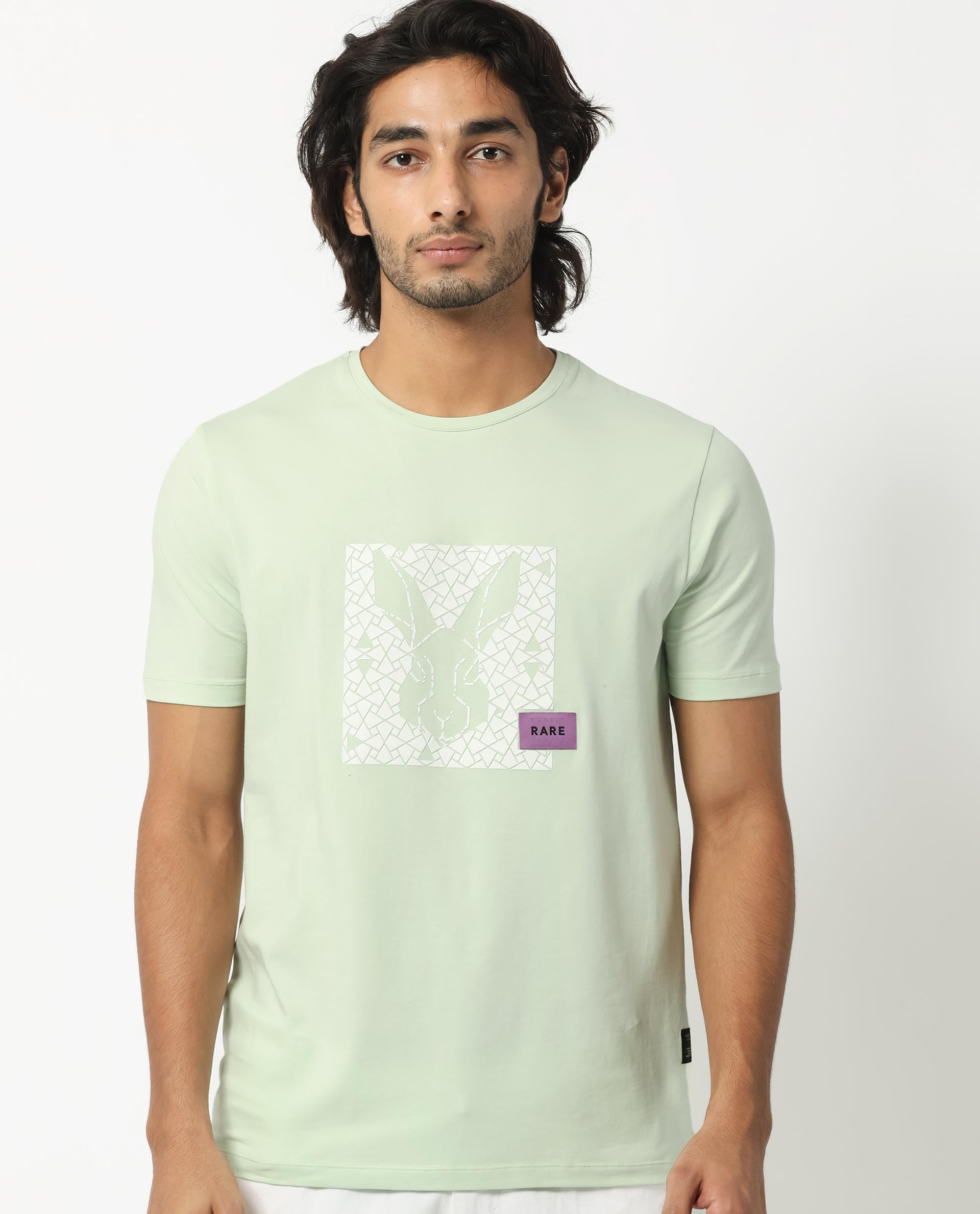 Rare Rabbit Men's Herald Light Green Crew Neck HD Print Logo and Branding Half Sleeves Regular Fit T-Shirt