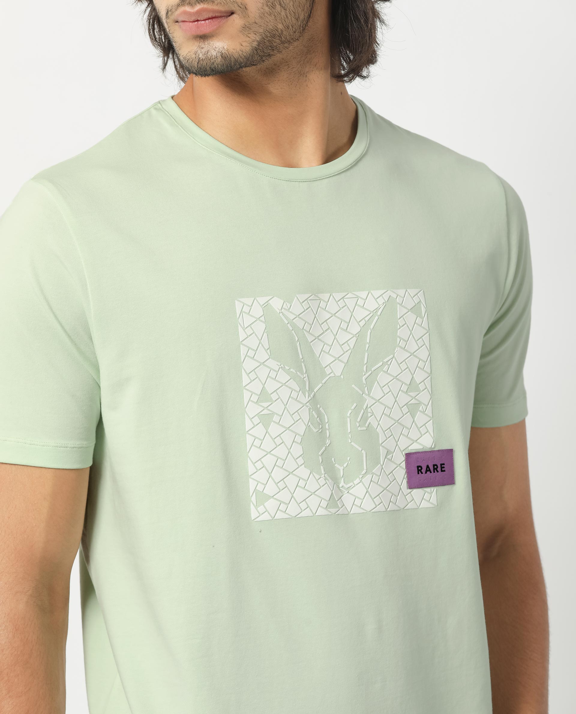 Rare Rabbit Men's Herald Light Green Crew Neck HD Print Logo and Branding Half Sleeves Regular Fit T-Shirt
