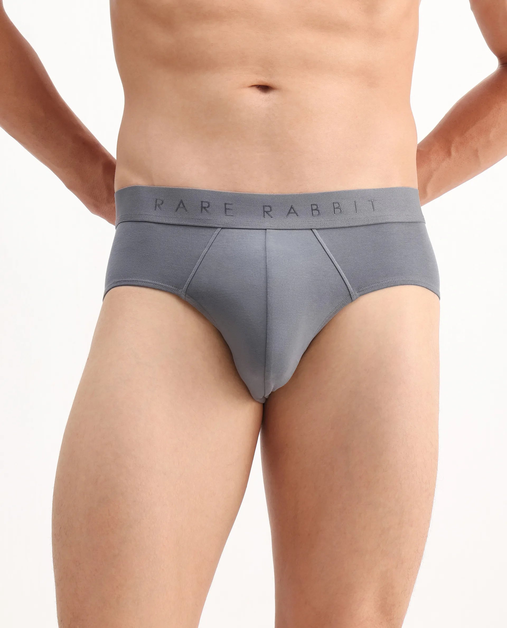 Rare Rabbit Men Hither Grey Soft Cotton Stretch Briefs