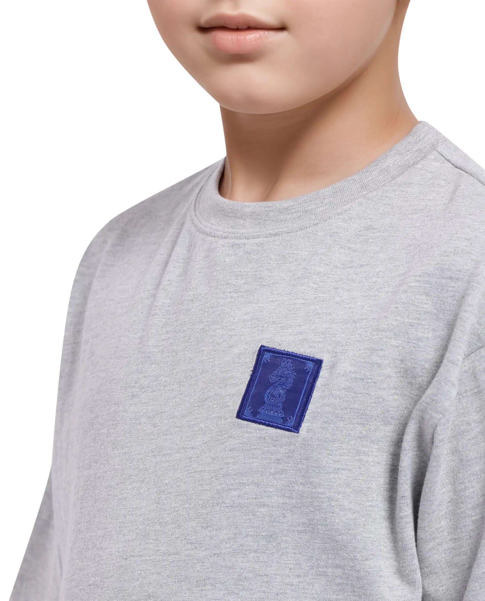 Rare Ones Kids Horse Melange Grey Cotton Half Sleeves Crew Neck Oversized Fit Graphic Back Print T-Shirt