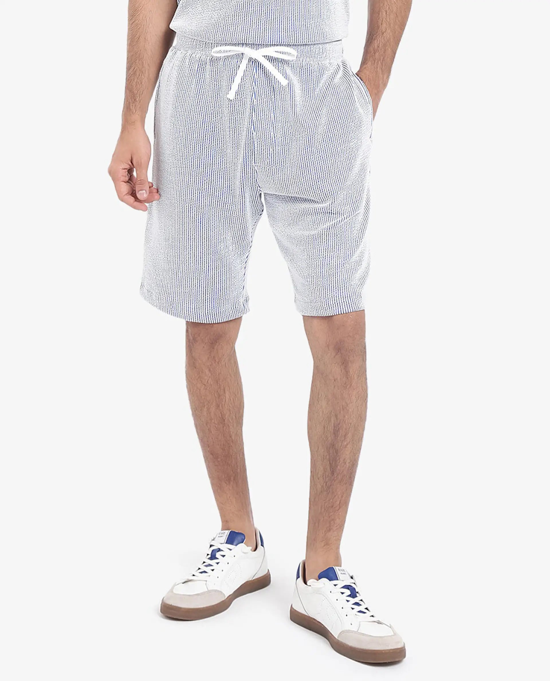Rare Rabbit Men's Zavet-B Blue Cotton Blend Striped Print Regular Fit Shorts