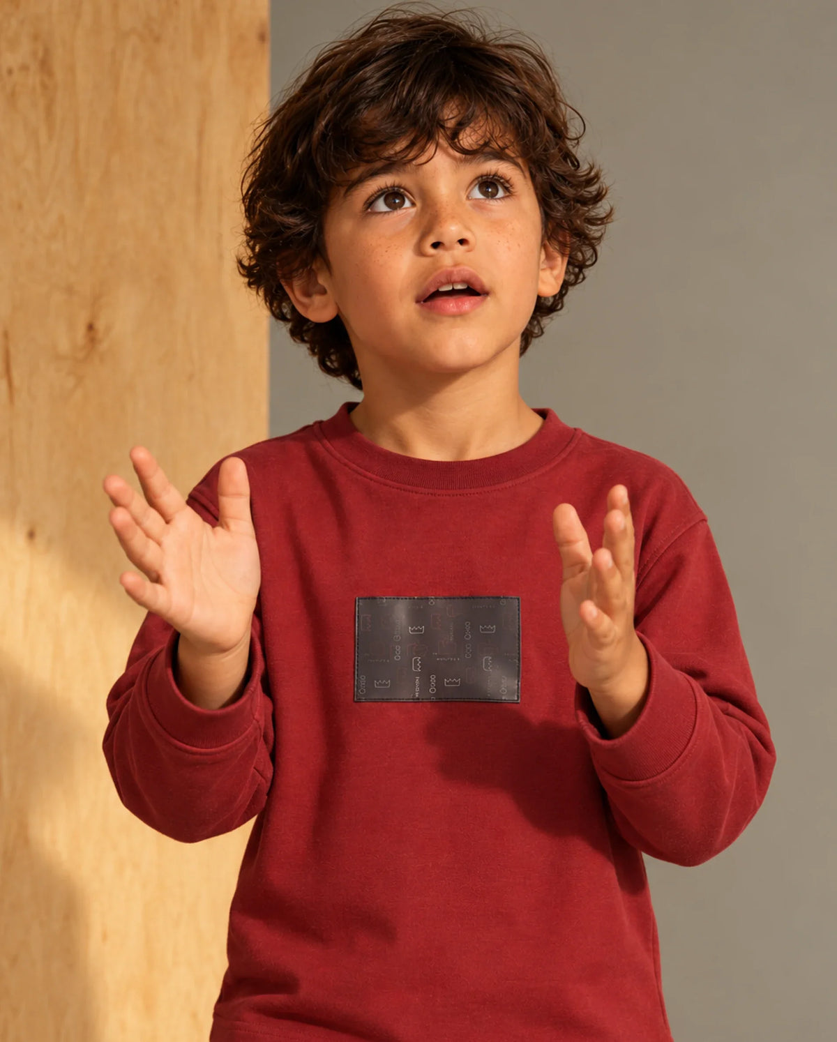Rare Ones Kids Mel Dark Red Cotton Fabric Pull-On Regular Fit Graphic Print T-Shirt