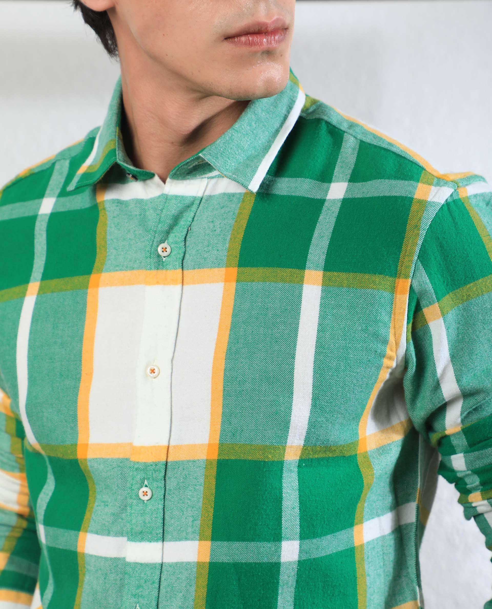 Rare Rabbit Men's Rayo Green Cotton Fabric Full Sleeves Twill Checks Shirt