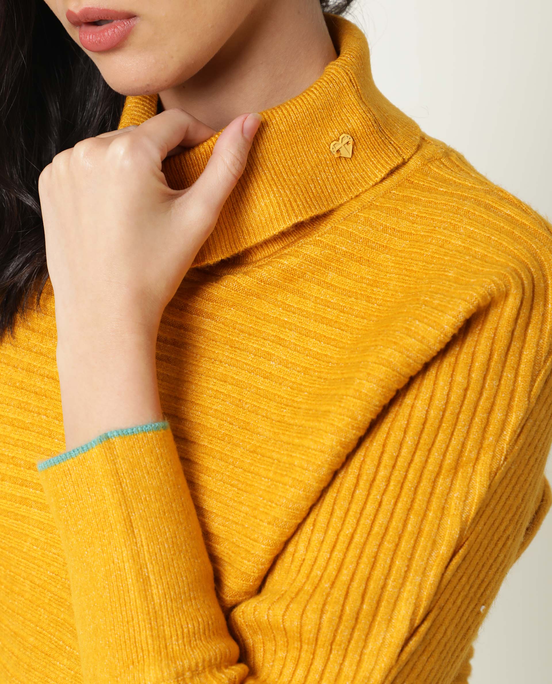 Rareism Women Levour Mustard Acrylic Fabric Full Sleeves Relaxed Fit Solid Turtle Neck Sweater