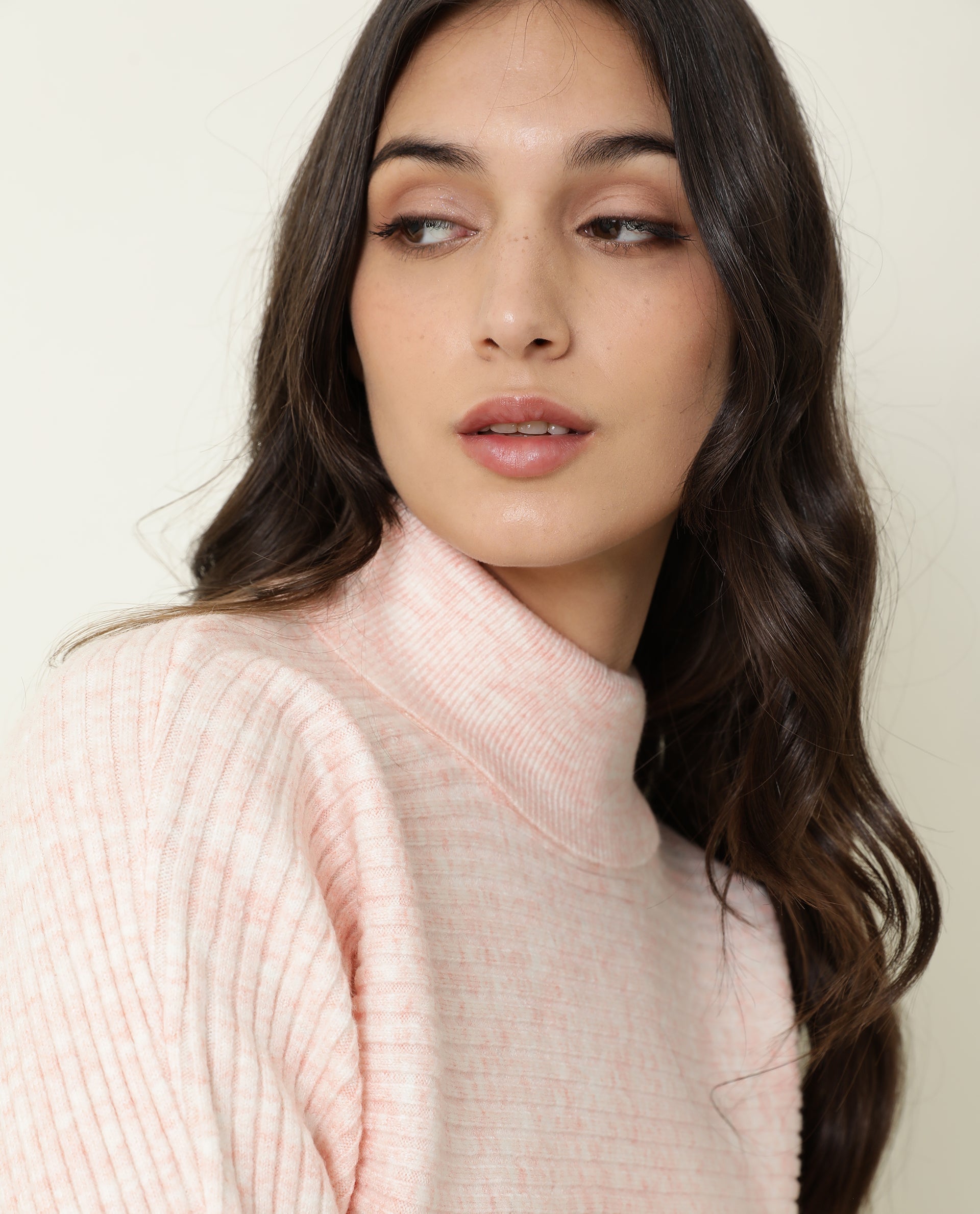 Rareism Women Levour Melange Pink Acrylic Fabric Full Sleeves Relaxed Fit Solid Turtle Neck Sweater