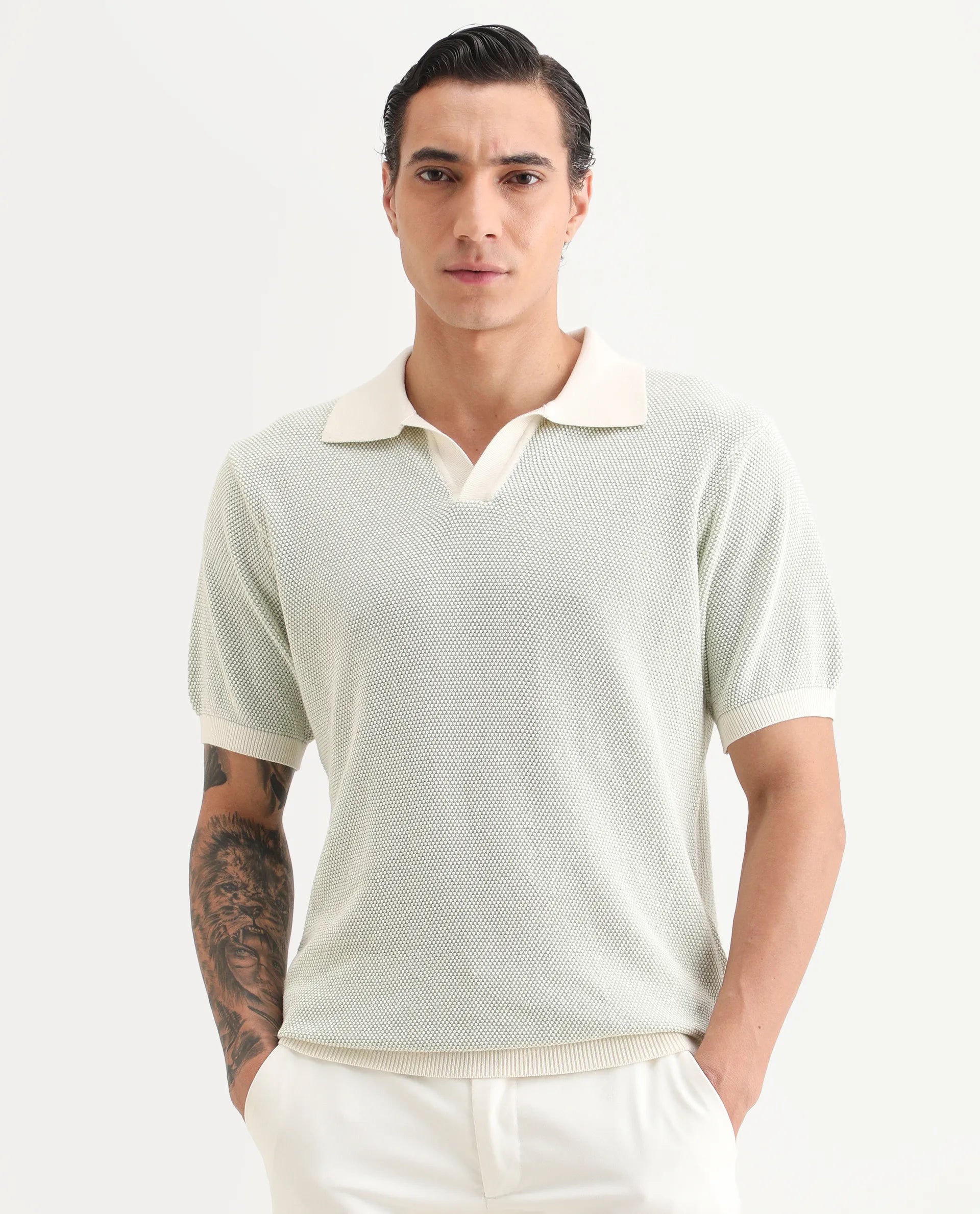 Rare Rabbit Men's Jordan Pastel Green Cotton Fabric Full Sleeve Regular Fit Textured Polo