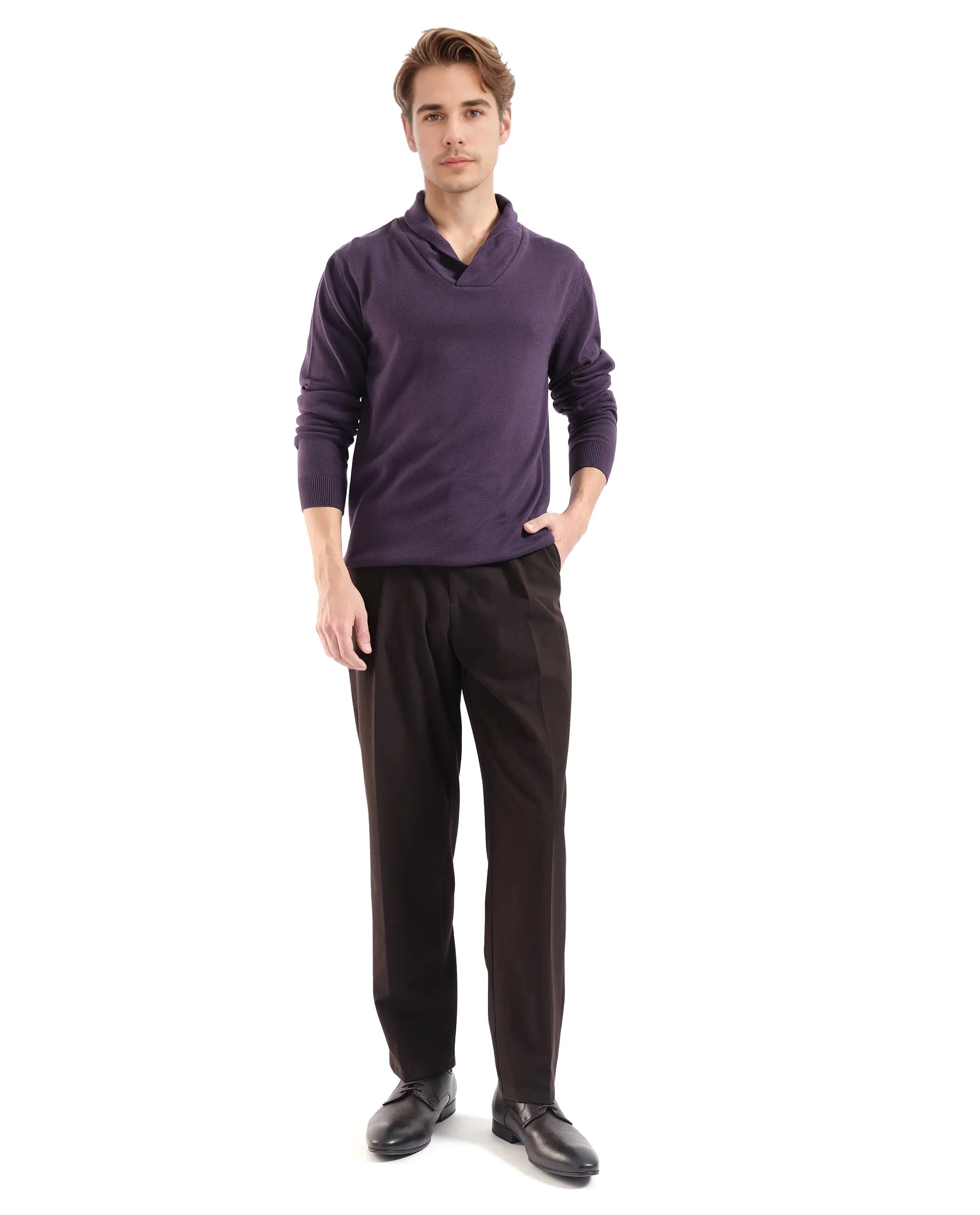 Rare Rabbit Men's Kenlay Dark Purple Full Sleeve Cowl Neck Regular Fit Solid Sweater