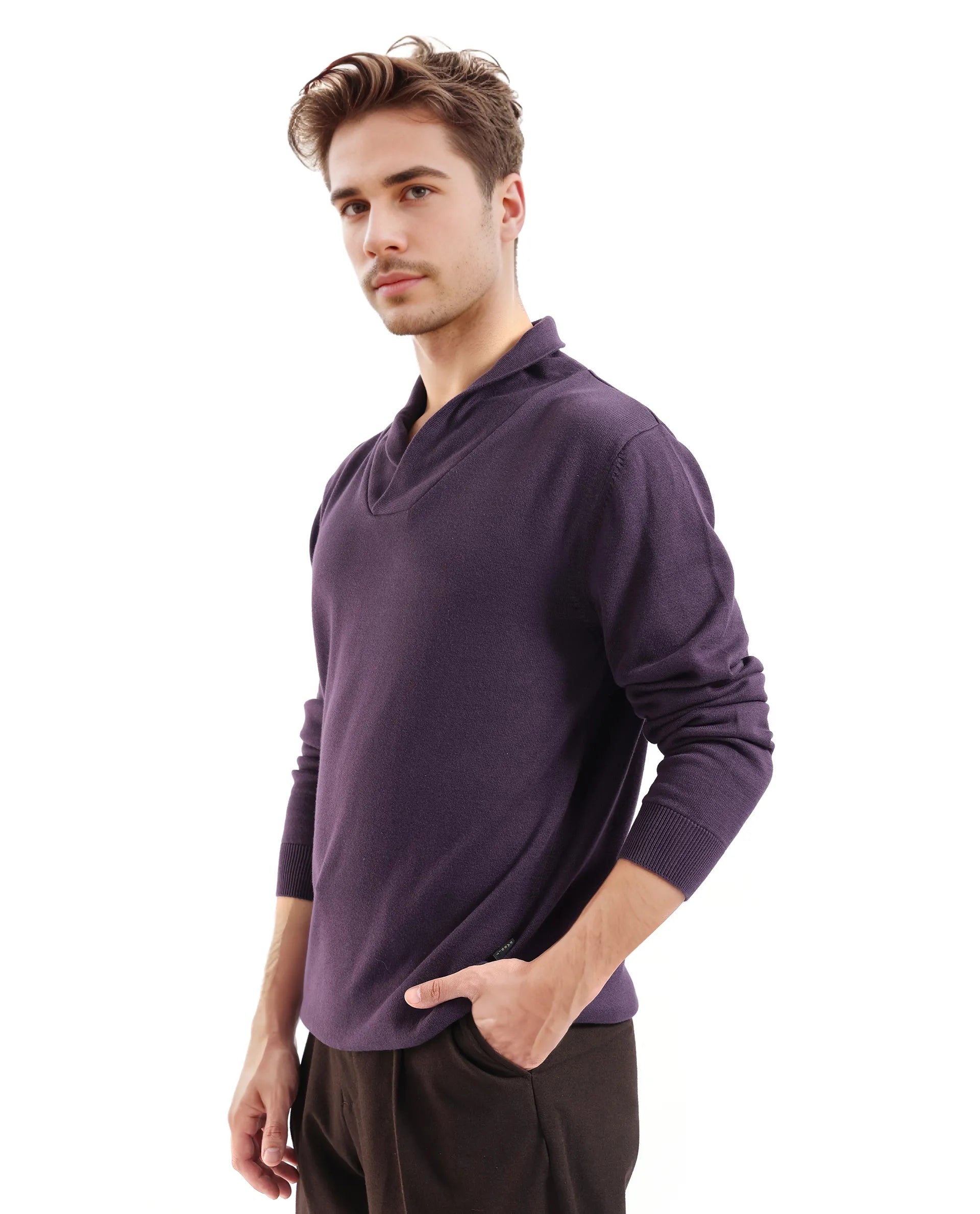 Rare Rabbit Men's Kenlay Dark Purple Full Sleeve Cowl Neck Regular Fit Solid Sweater