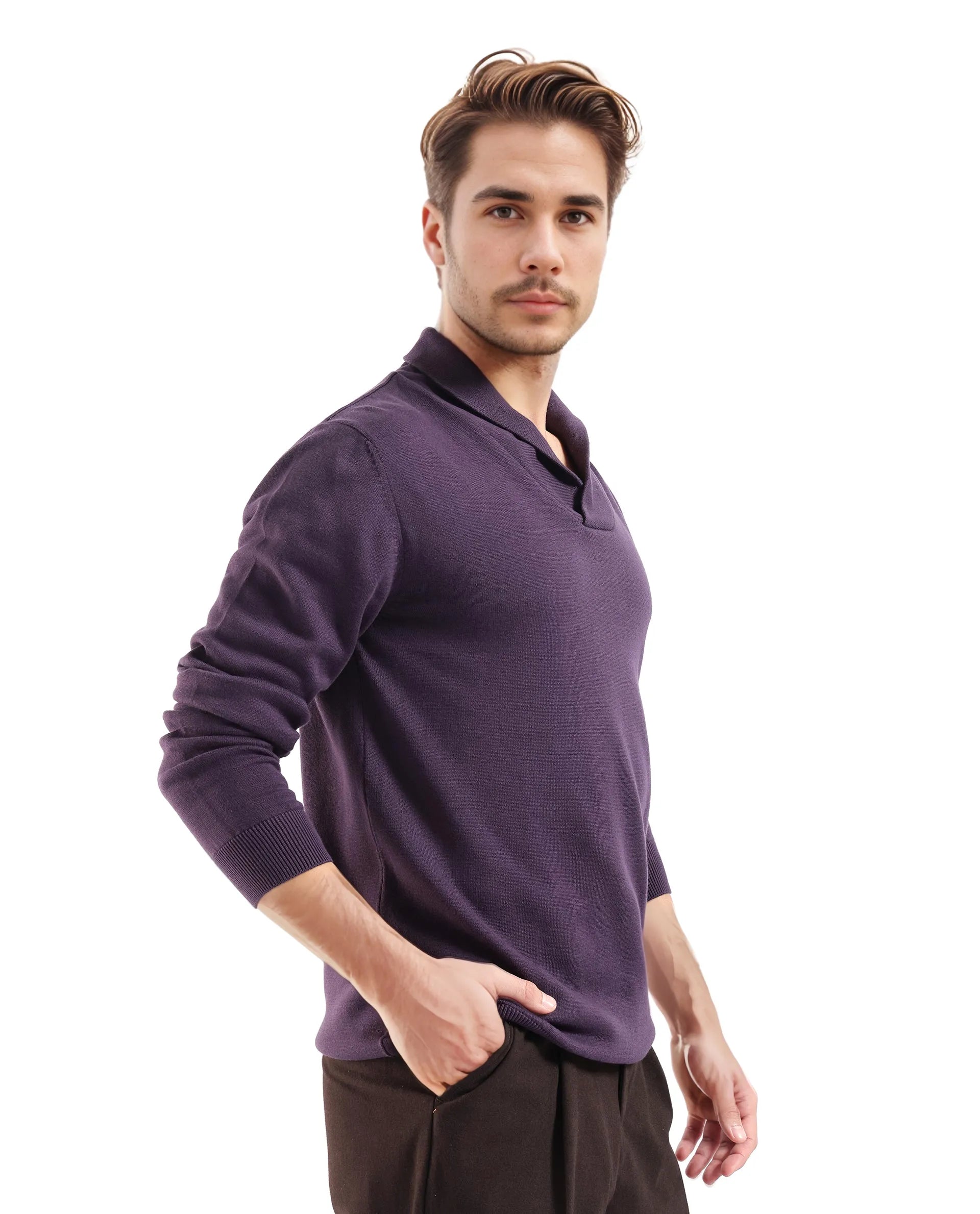 Rare Rabbit Men's Kenlay Dark Purple Full Sleeve Cowl Neck Regular Fit Solid Sweater