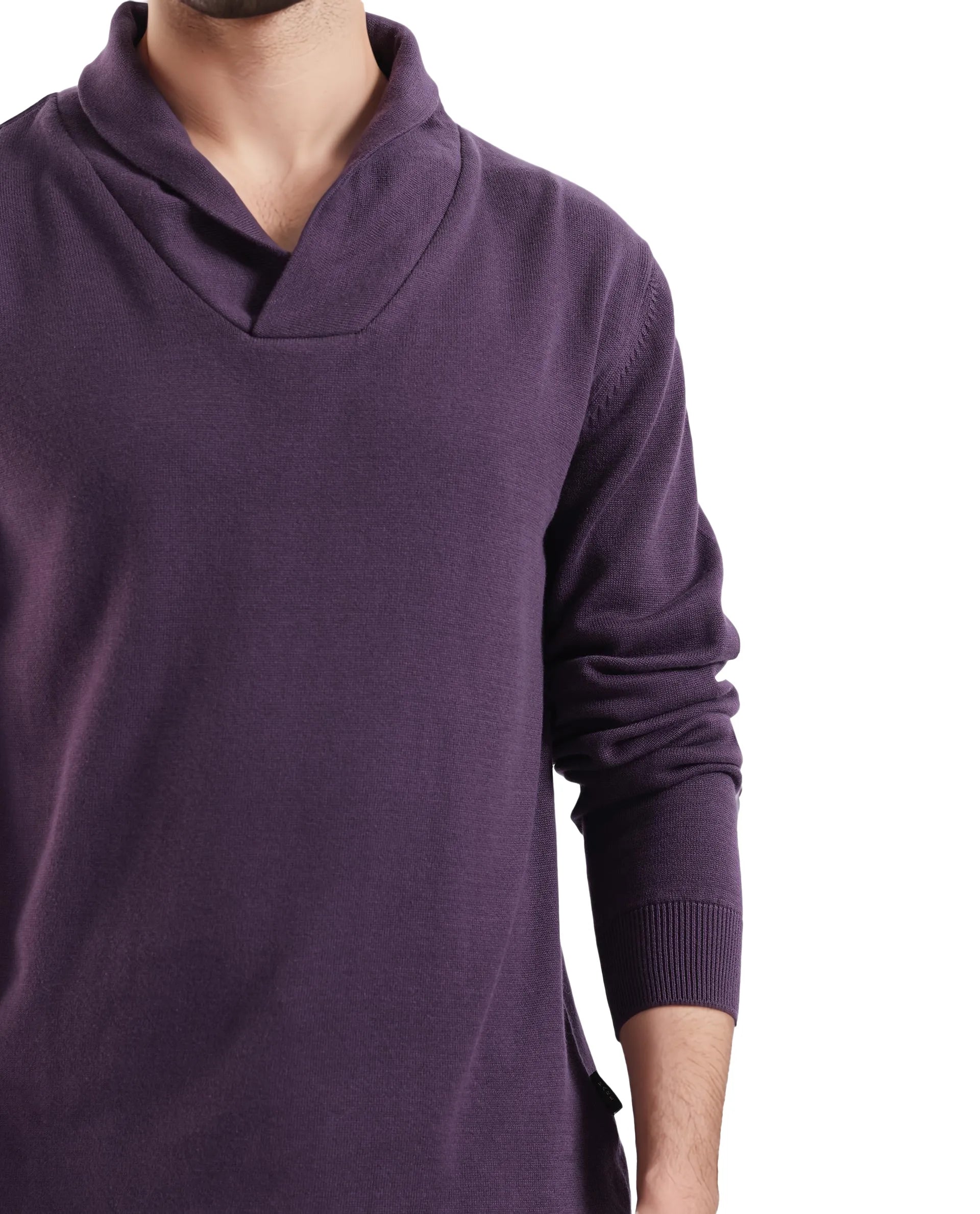 Rare Rabbit Men's Kenlay Dark Purple Full Sleeve Cowl Neck Regular Fit Solid Sweater