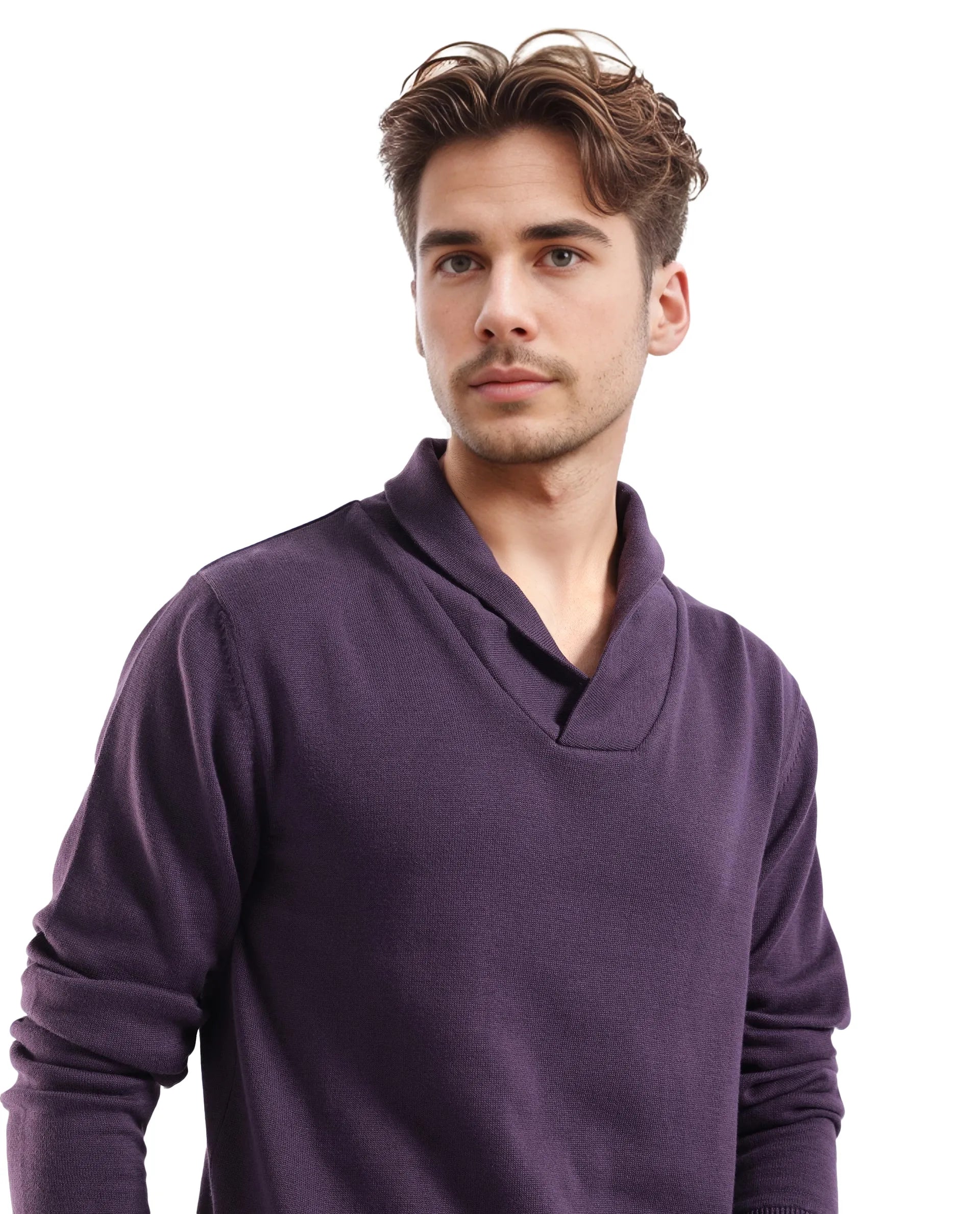 Rare Rabbit Men's Kenlay Dark Purple Full Sleeve Cowl Neck Regular Fit Solid Sweater