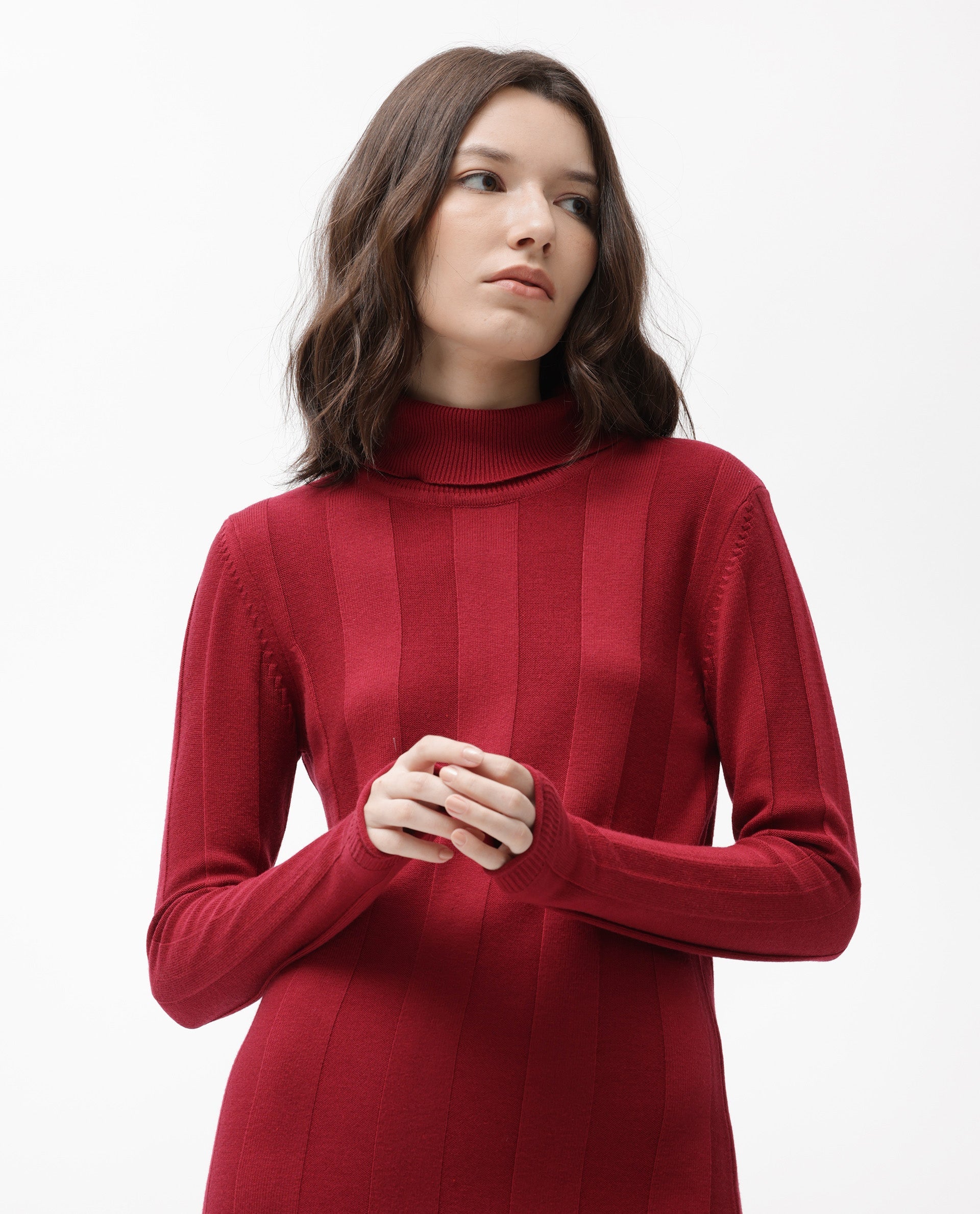Rareism Women Knitka Red Full Sleeves Knee Length Regular Fit Striped Turtle Neck Sweater