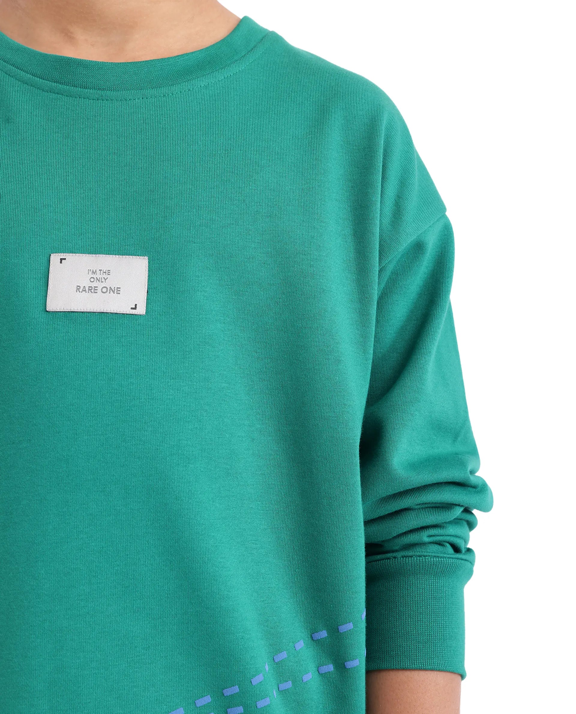 Rare Ones Kids Kole Green Cotton Poly Full Sleeve HD Print Sweatshirt