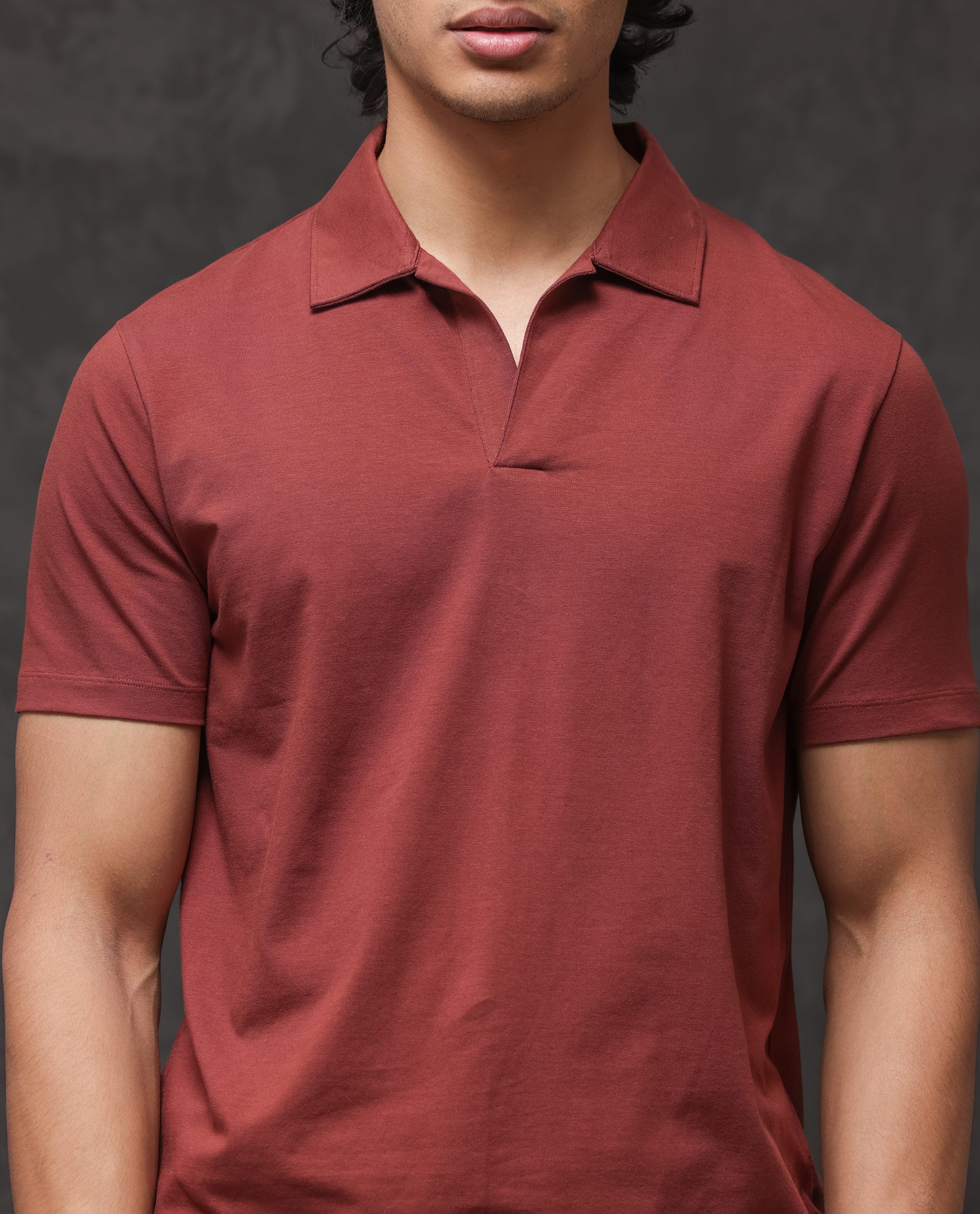 Rare Rabbit Mens Krib-2 Dusky Maroon Cotton Lycra Fabric Johnny Collar Half Sleeves Polo T-Shirt
