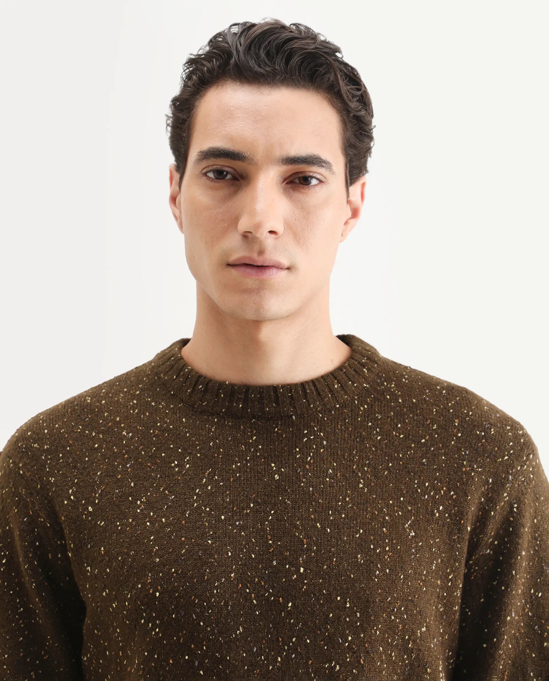 Rare Rabbit Men's Lomot Brown Cotton Fabric Crew Neck Regular Fit Speckled Print Sweater