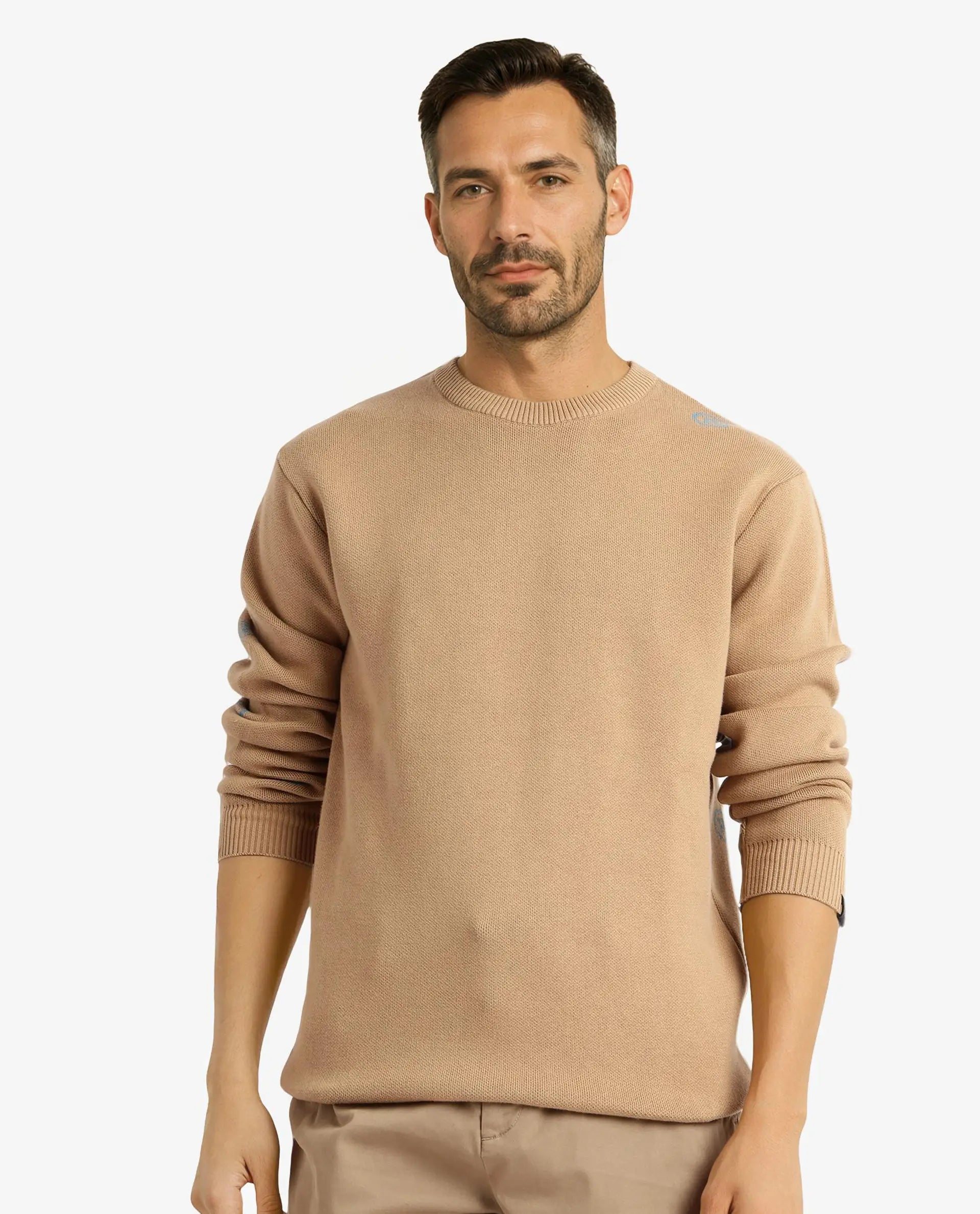 Rare Rabbit Men's Mario Beige Cotton Fabric Full Sleeve Crew Neck Jacquard Sweater