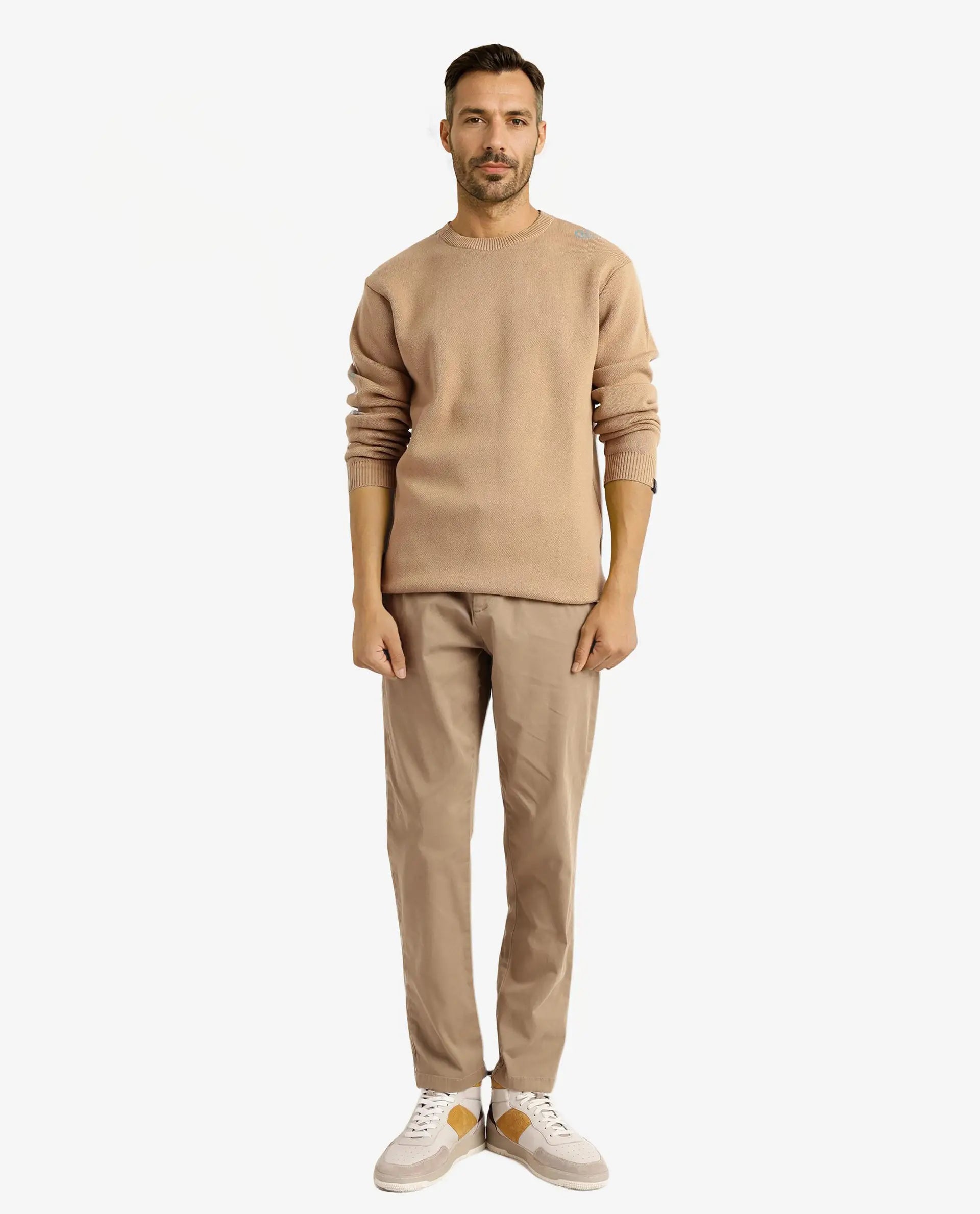 Rare Rabbit Men's Mario Beige Cotton Fabric Full Sleeve Crew Neck Jacquard Sweater